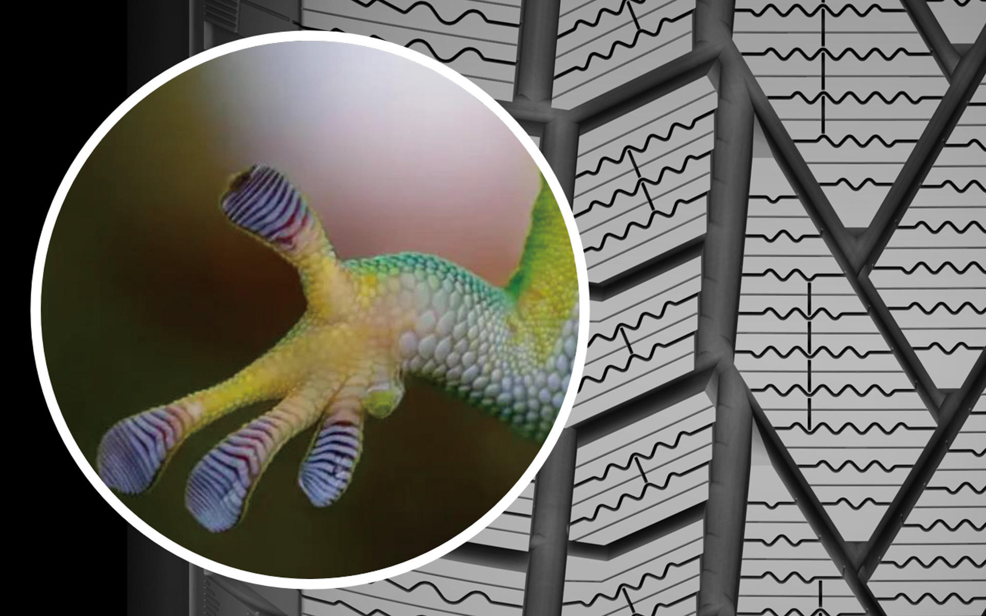 ゲッコー・グラブ・パターン2.0