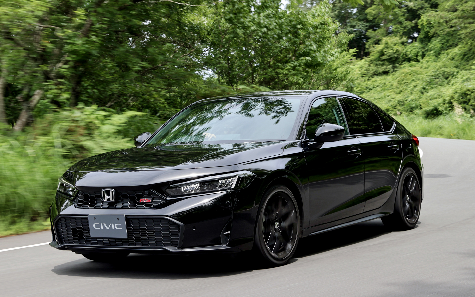 RSはエクステリアに専用のブラック加飾が施される