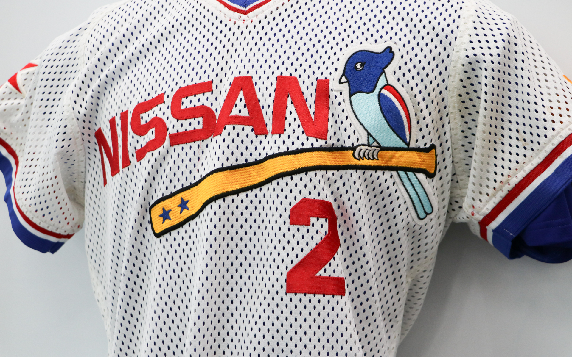 ブルーバードとバットが大きく描かれているデザインもあった