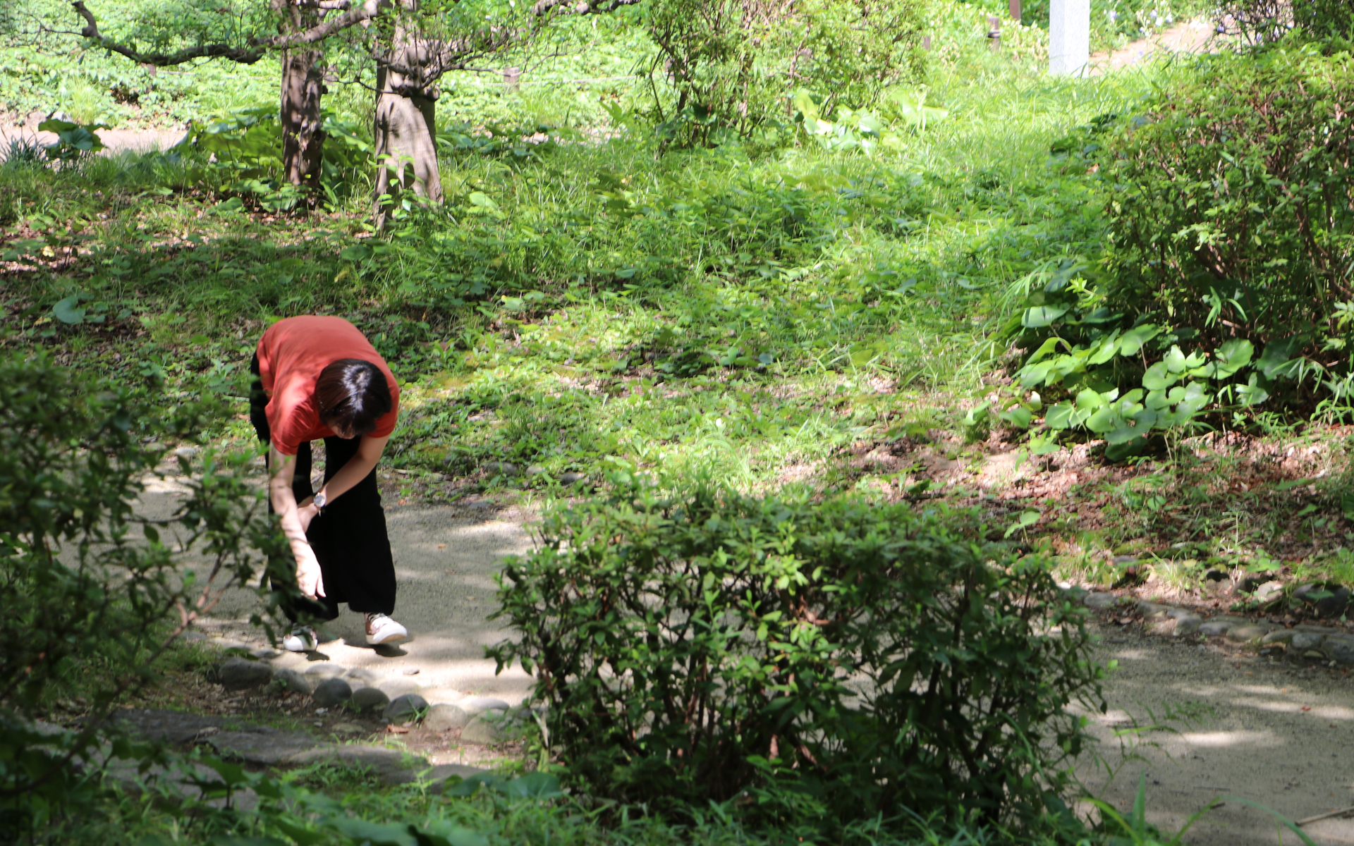 落ち葉や石ころなどは拾って持ち寄ることも可能だが、花や葉っぱ、枝などは摘んだり折ったりする必要はなく、景色や色などと同様にスマホで撮影すればOK