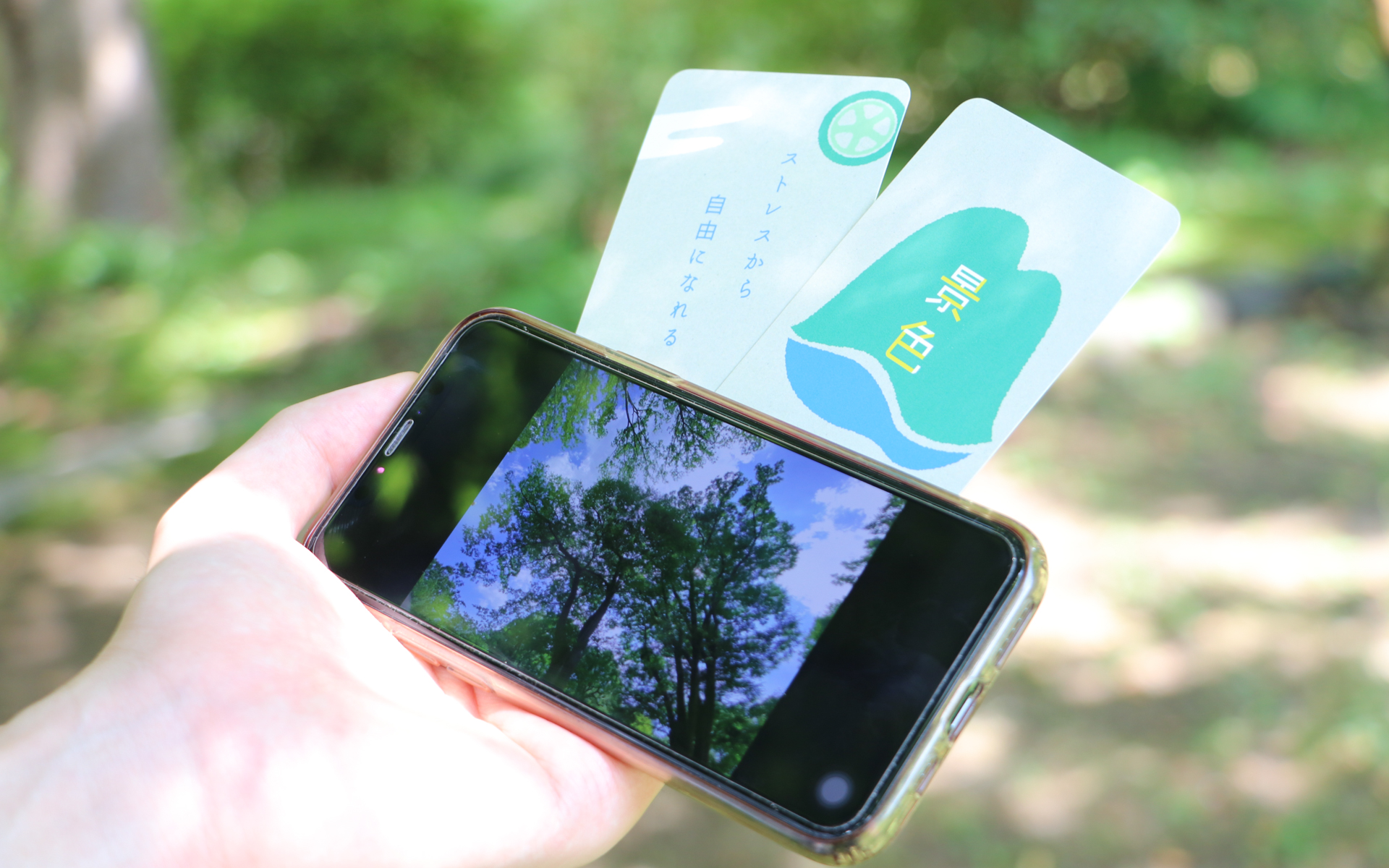 つばっきーさんは「景色」がテーマなので写真で回答