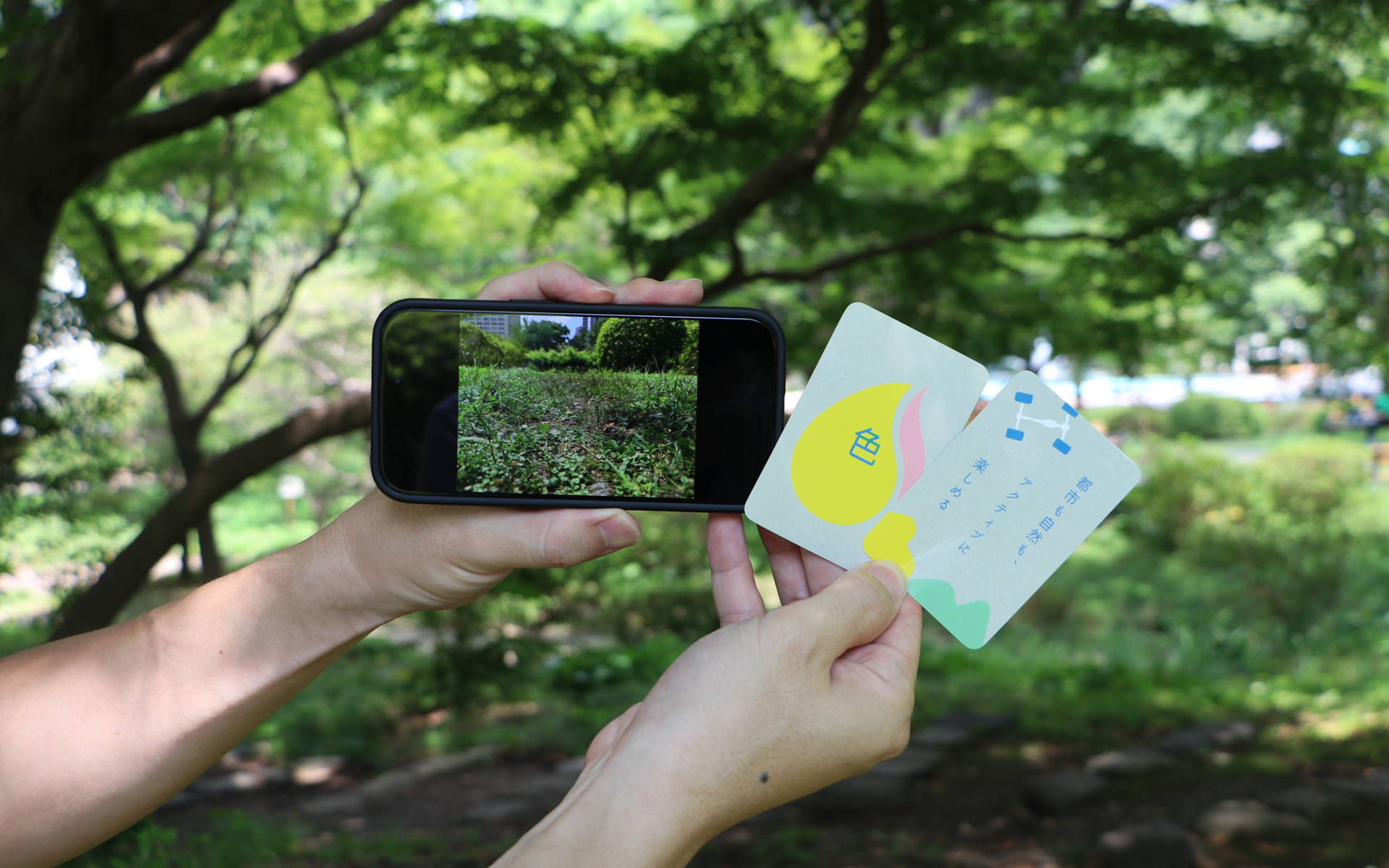 かねやんさんも「色」がテーマなので写真を撮影してきた