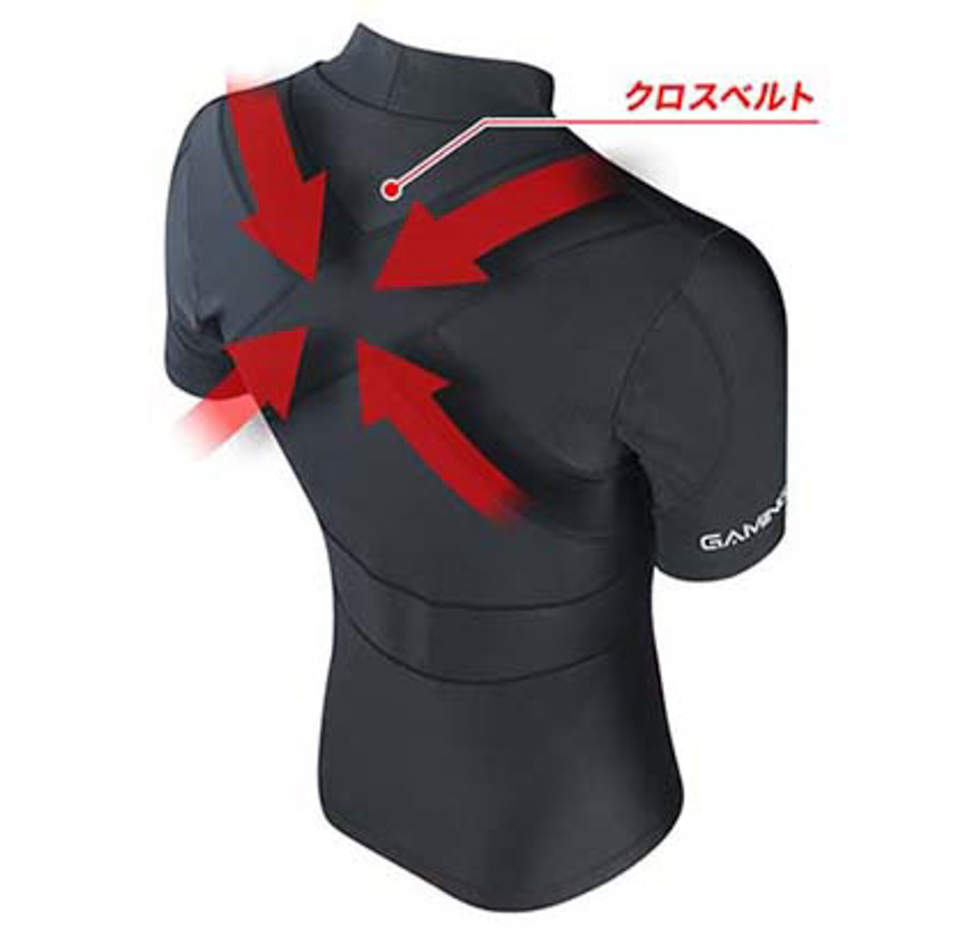 背面のクロスベルト構造