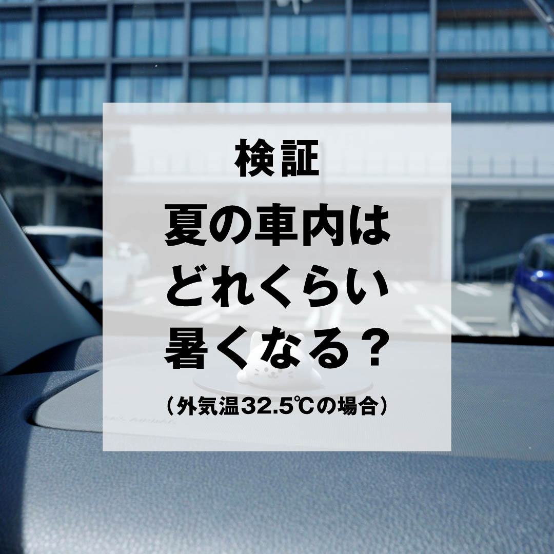 「トヨタのとけネコ」コンセプトムービーの一場面