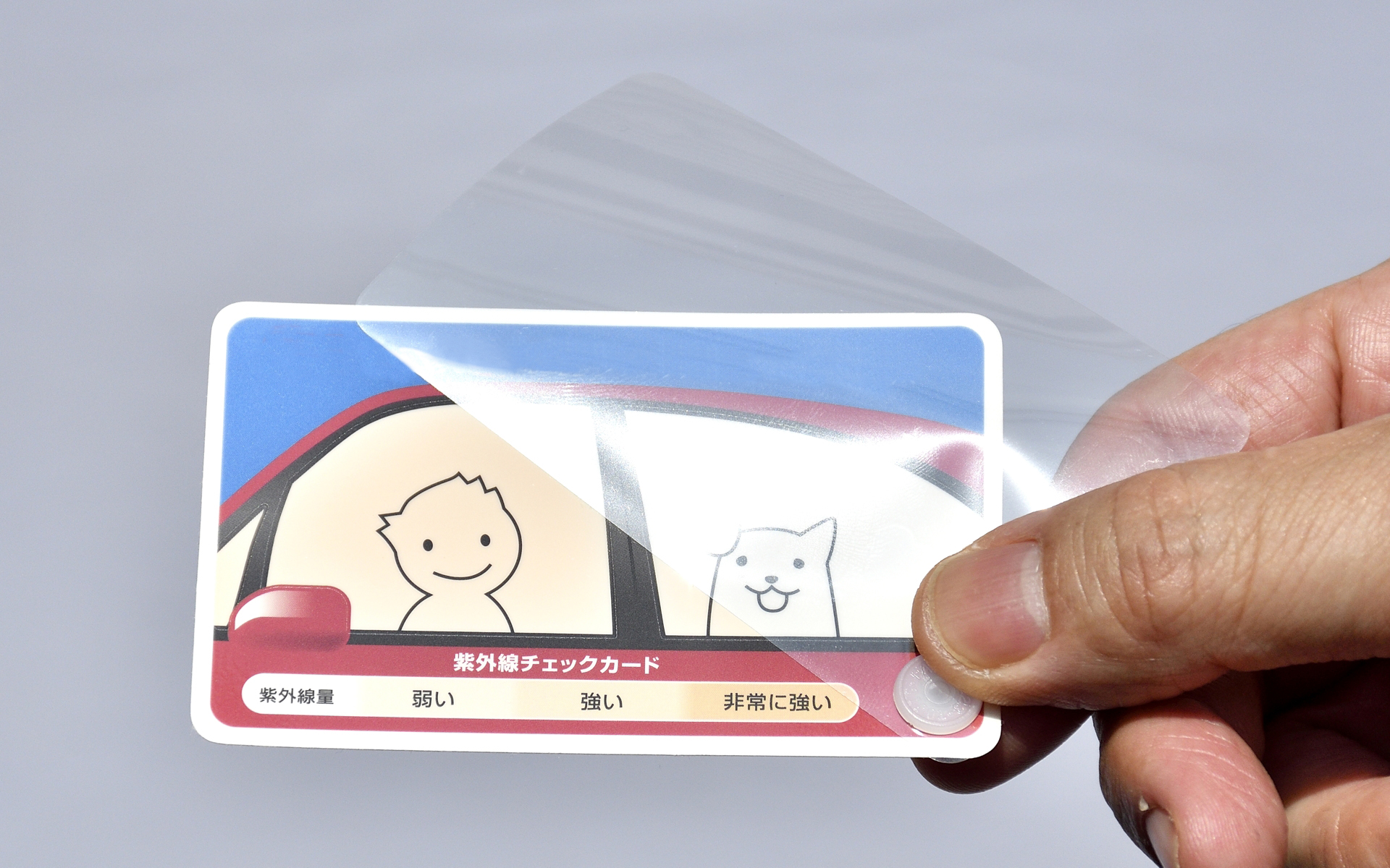 透明フィルムを使った実験カード。カードの白い部がUVで変色するようになっていて、透明フィルムのない部分だけが変色しているのが分かる