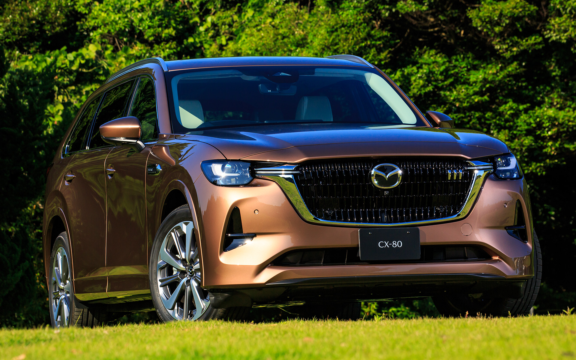 ボディカラーはメルティングカッパーメタリック。サイドシルガーニッシュ、サイドクラッディング、ホイールアーチクラッディング、フロントバンパーロワーなどがボディ同色となる