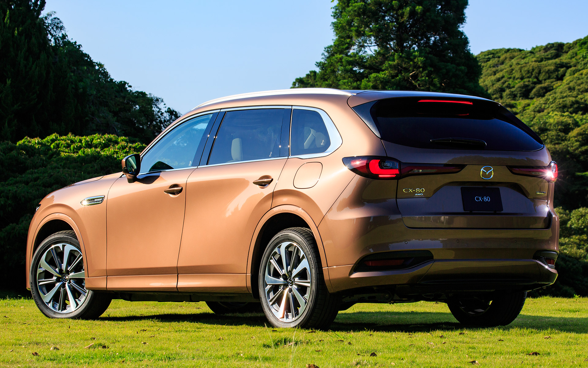 ボディカラーはメルティングカッパーメタリック。サイドシルガーニッシュ、サイドクラッディング、ホイールアーチクラッディング、フロントバンパーロワーなどがボディ同色となる