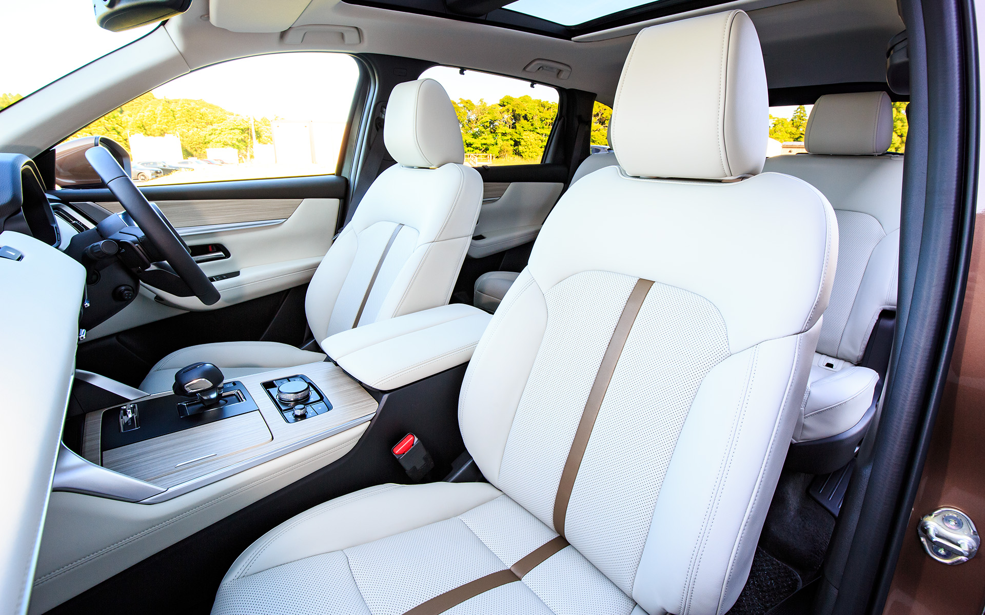 シートはもちろんルーフまわりまでホワイトとなる