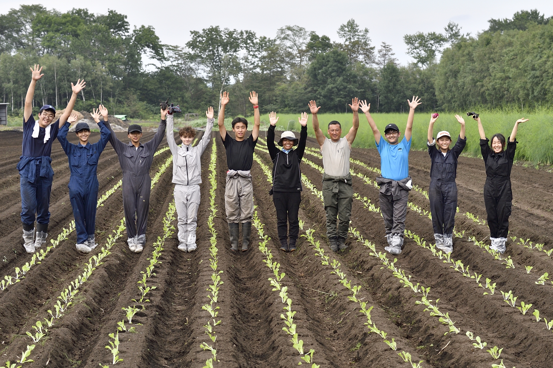 白菜の苗を植える体験も。この重労働を体験したことでトラクターのありがたみをより感じたに違いない