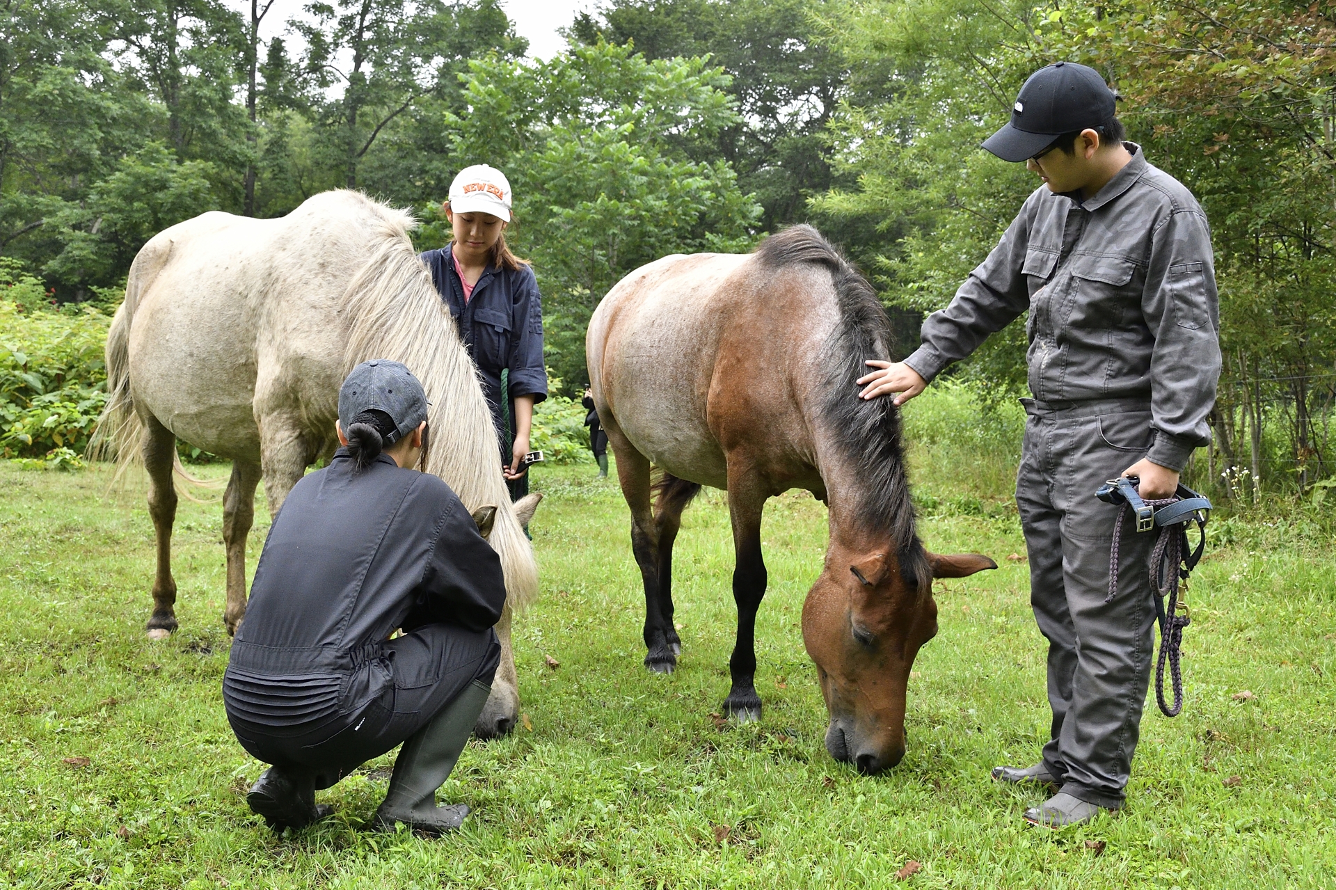 天候不良のため初日に行なえなかったが、2024年の「LEARN with Porsche」でも馬がどのような生き物なのか体験できるプログラムを実施。牧草を食べている馬をつかまえるところから乗馬まで、貴重な体験ができたようだ