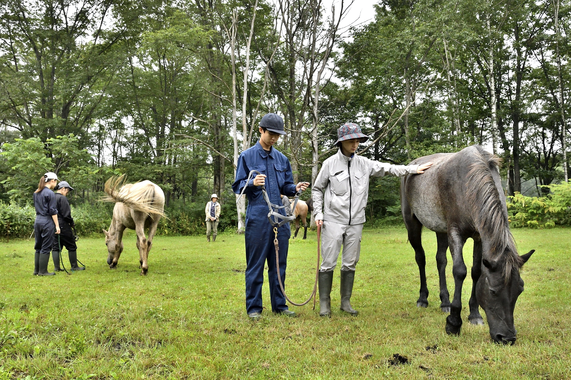 天候不良のため初日に行なえなかったが、2024年の「LEARN with Porsche」でも馬がどのような生き物なのか体験できるプログラムを実施。牧草を食べている馬をつかまえるところから乗馬まで、貴重な体験ができたようだ
