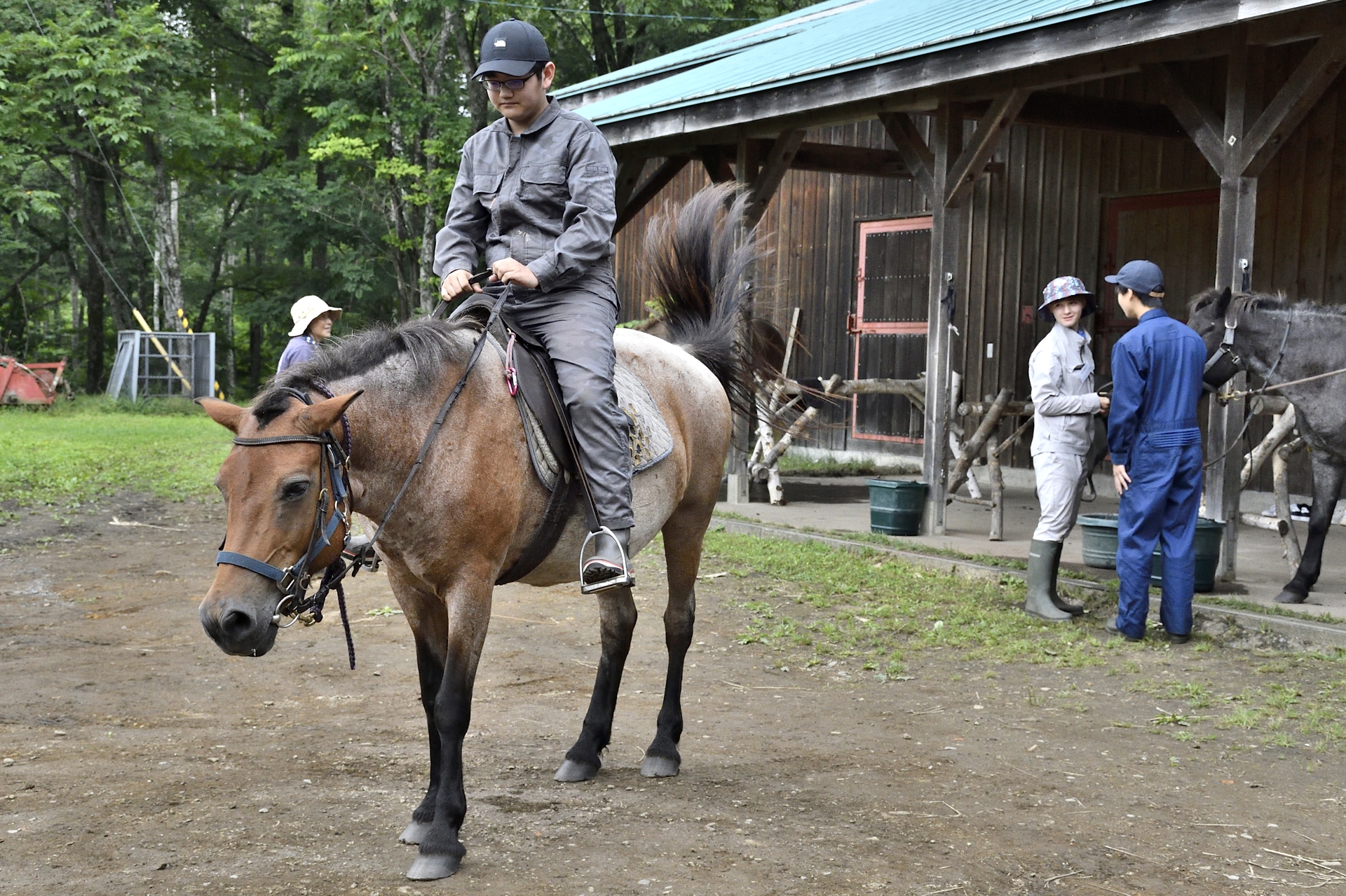 天候不良のため初日に行なえなかったが、2024年の「LEARN with Porsche」でも馬がどのような生き物なのか体験できるプログラムを実施。牧草を食べている馬をつかまえるところから乗馬まで、貴重な体験ができたようだ
