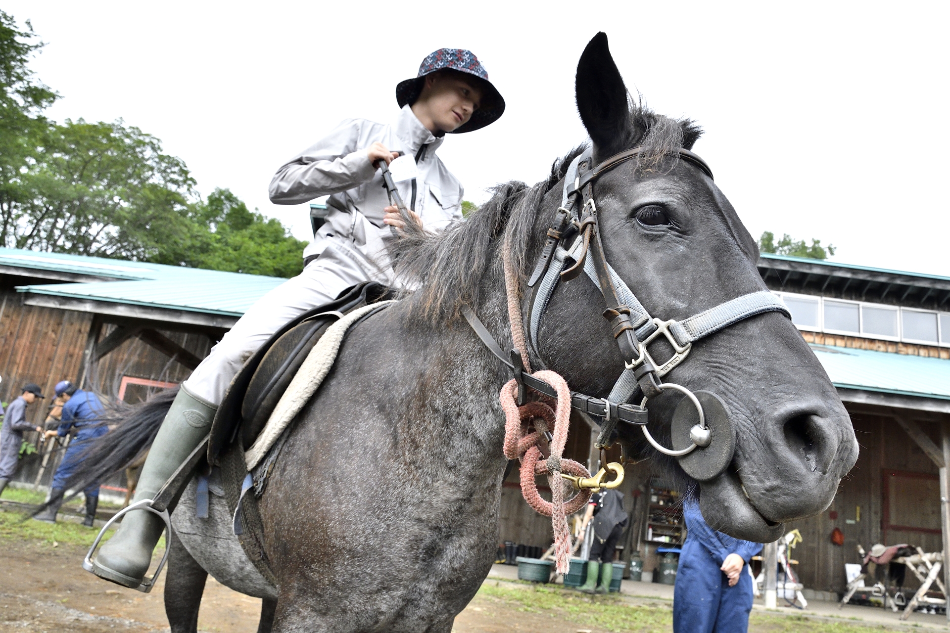 天候不良のため初日に行なえなかったが、2024年の「LEARN with Porsche」でも馬がどのような生き物なのか体験できるプログラムを実施。牧草を食べている馬をつかまえるところから乗馬まで、貴重な体験ができたようだ