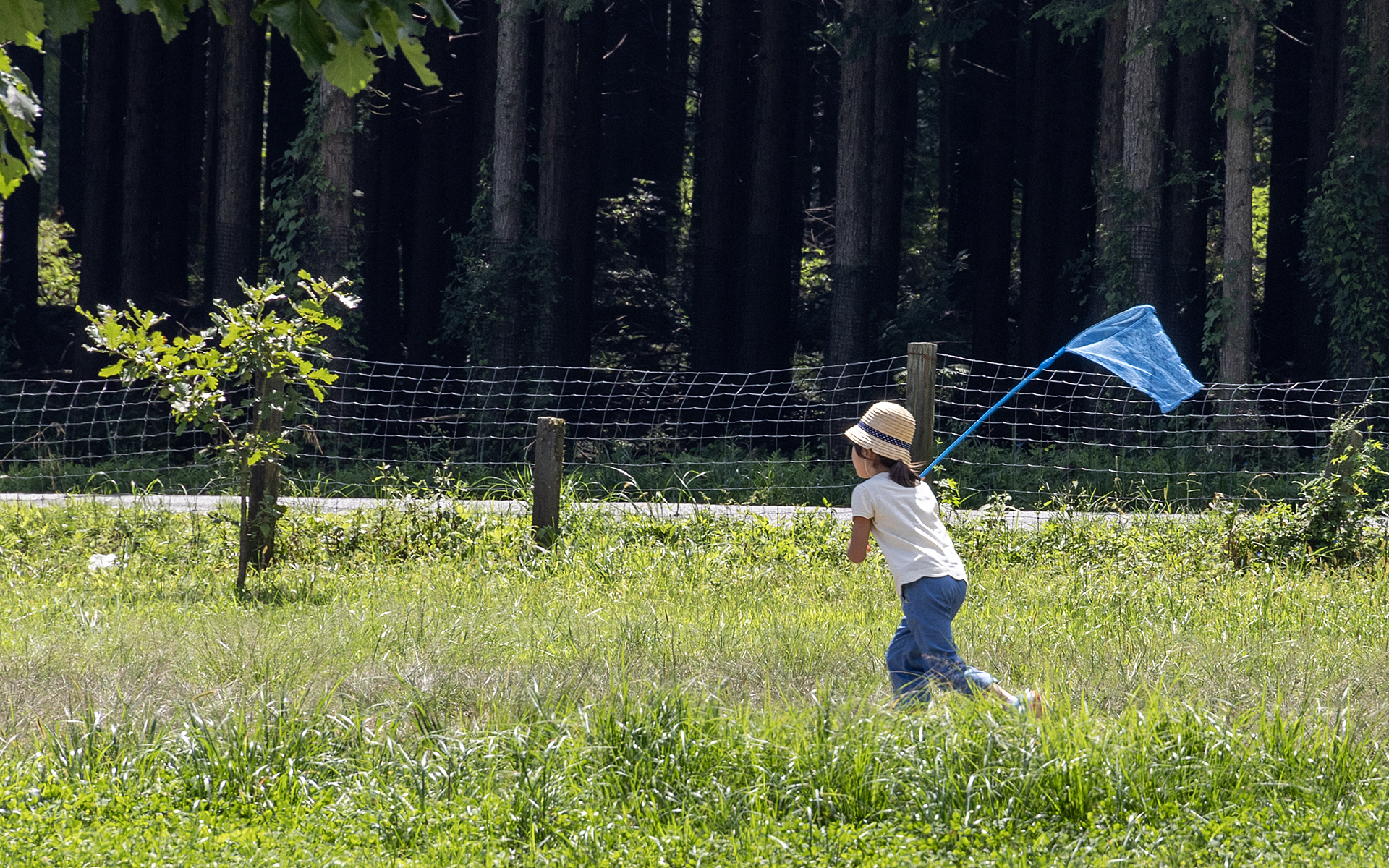 いろいろなコンテンツが用意されていたが、それらに頼らずとも自然の中で遊べるのがスターキャンプ2024 in 朝霧高原の本当の魅力。興味のある人は2025年の募集を待ちたい。三菱車以外のオーナーも応募OKだ