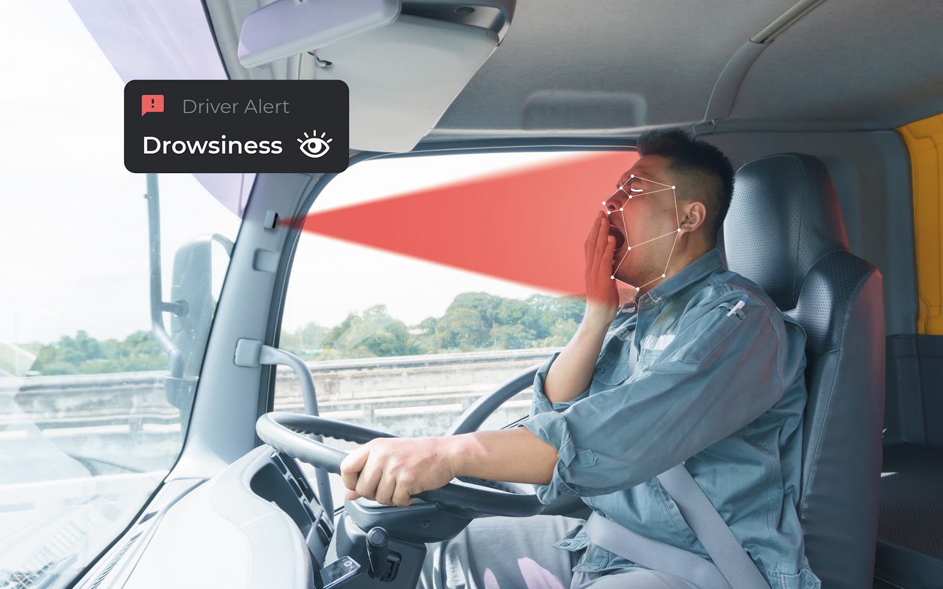 ドライバー・モニタリング・システム（DMS）