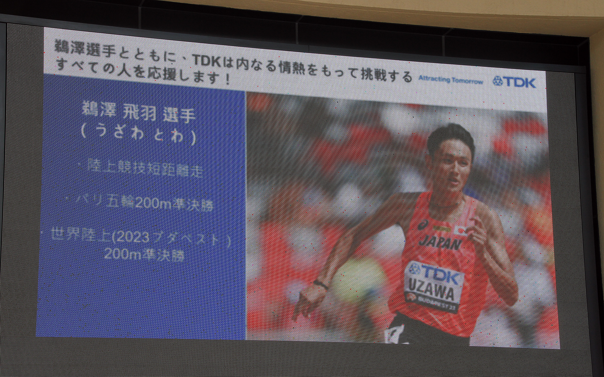 鵜澤飛羽選手について