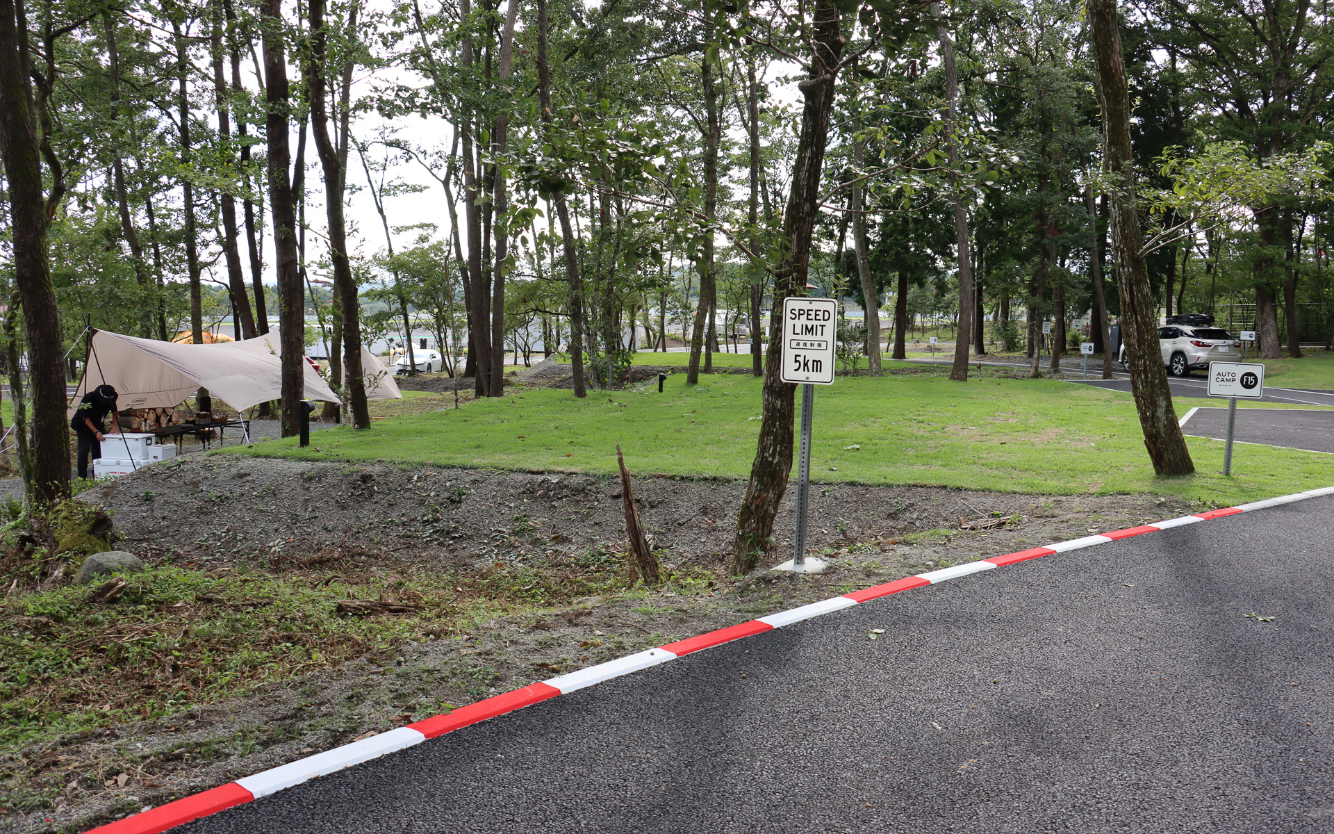 敷地内の樹木はすべて従来からここに立っていたものをそのまま利用している