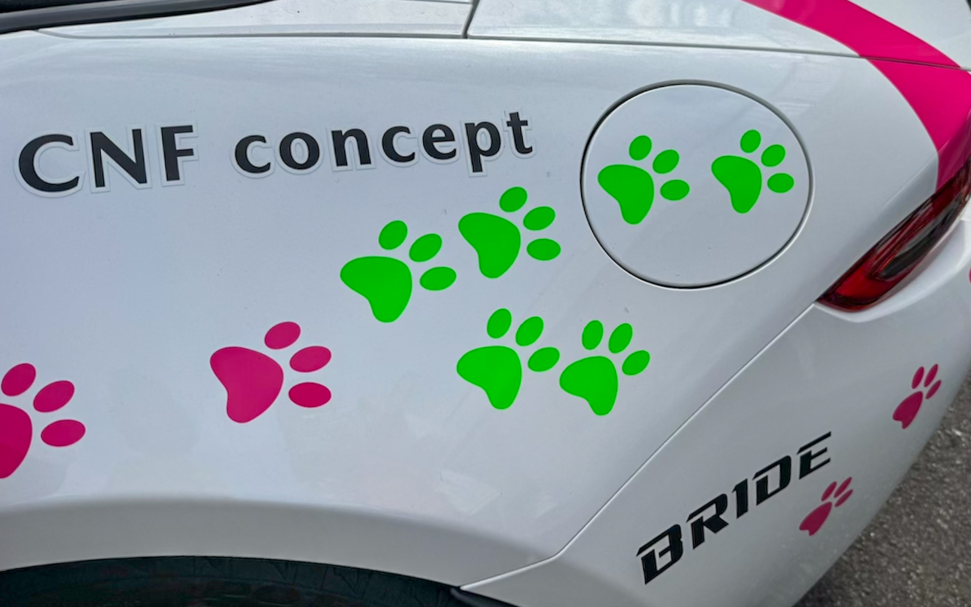 新しいカラーリングは、助手席側のフューエルリッドのところに6つだけグリーンの肉球があるのがポイント。これは、今回からカーボンニュートラル燃料で走ることになったことから、持続可能なモータースポーツへのチャレンジに敬意を表して