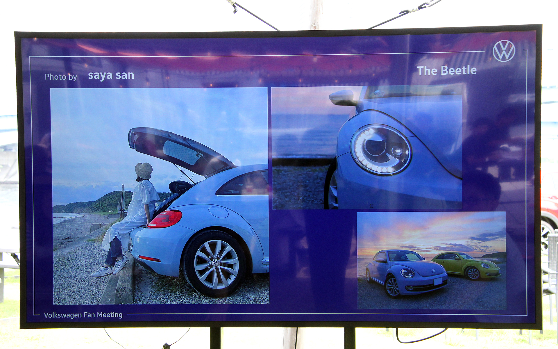 saya san（The Beetle）