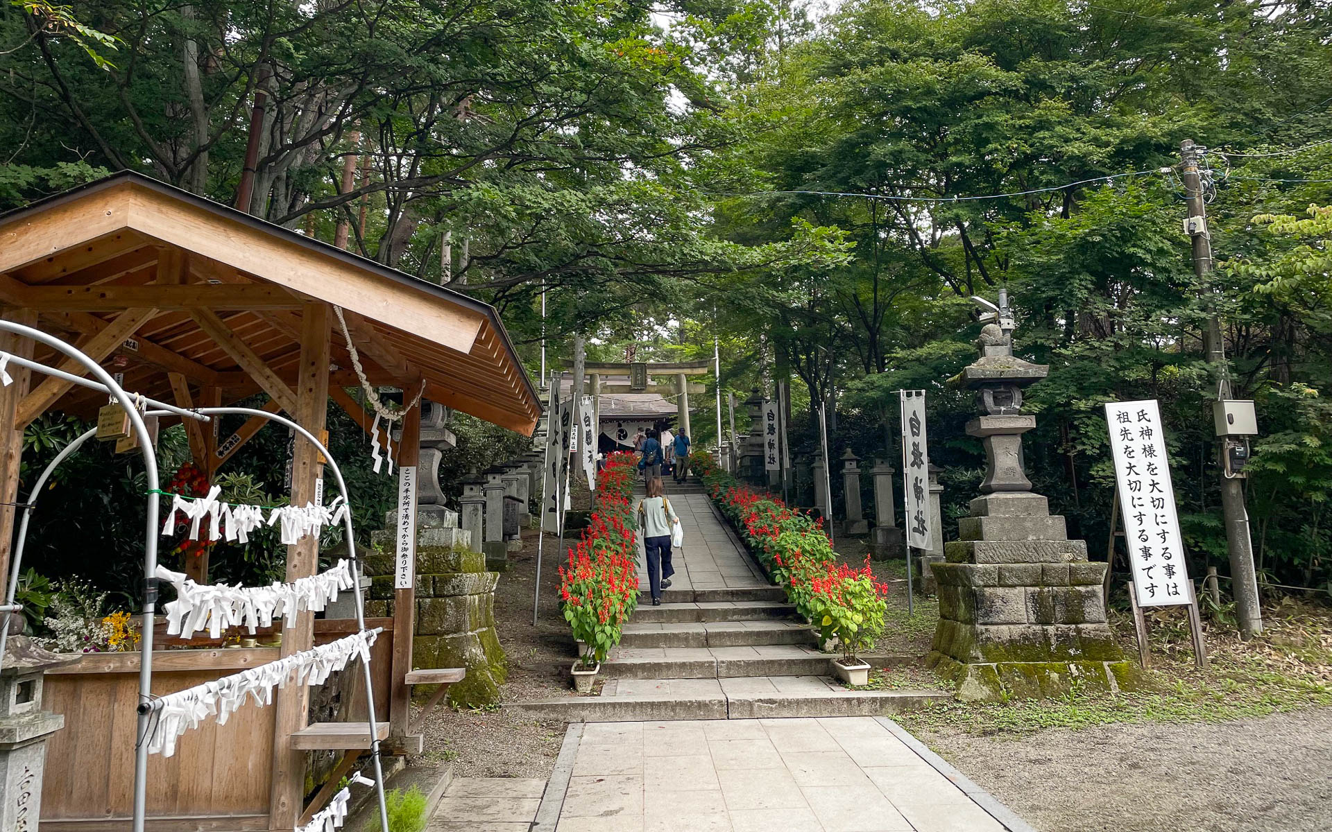 温泉街から長い階段を上っていくと白根神社が祭られており、かわいい招き猫のおみくじをひかせてもらった。階段はもういいかな