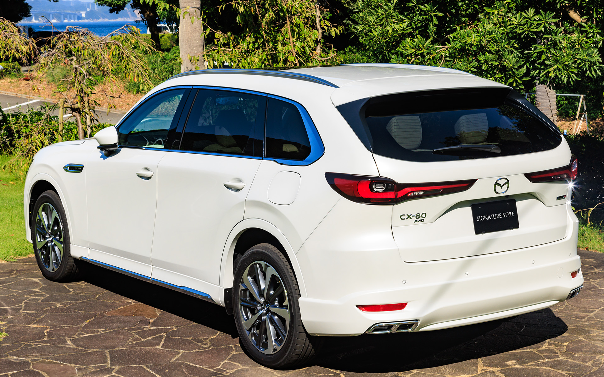 写真はサイドアンダーガーニッシュとリアアンダーガーニッシュをセットにした「シグネチャースタイル プレミアムライン」を装着した車両だ