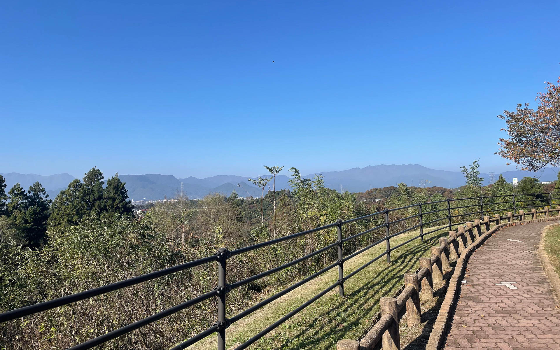 赤城高原SAで休憩。往路の関越トンネルに入る前は青空が広がっていたが、トンネルを抜けると低く雲が垂れ込めていた。雪じゃなくてよかった