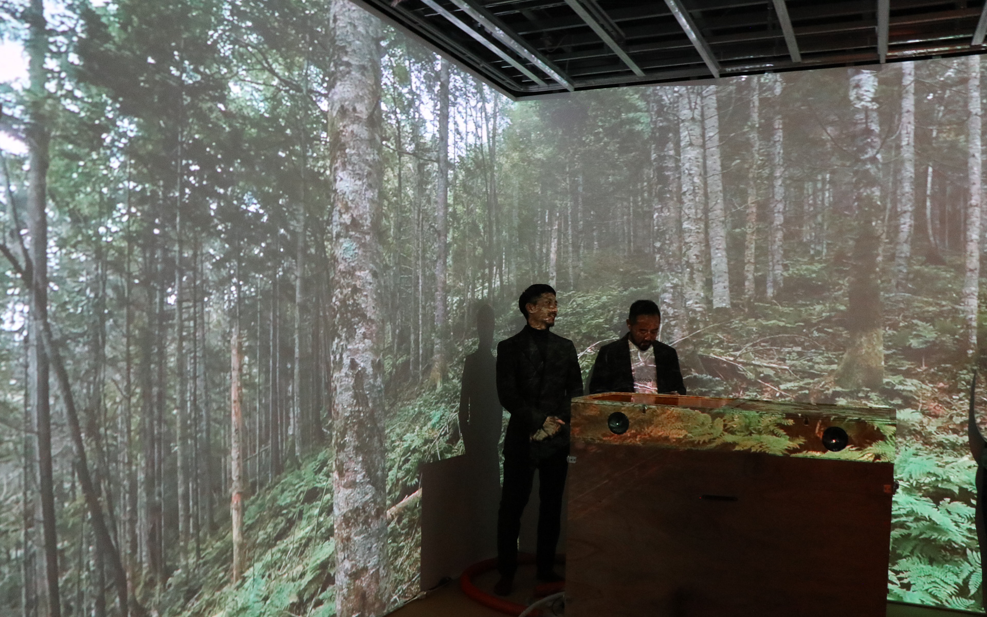 NTT東日本とエステーが提供するバーチャル森林浴「ZZZN NATURE（ズズズンネイチャー）」（12月9日～16日の期間限定）