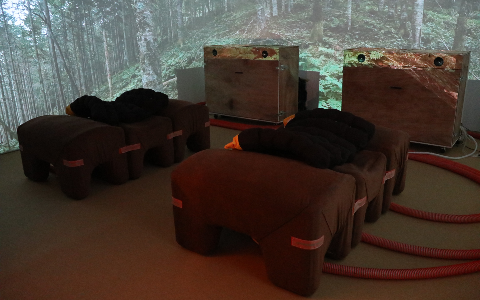 NTT東日本とエステーが提供するバーチャル森林浴「ZZZN NATURE（ズズズンネイチャー）」（12月9日～16日の期間限定）