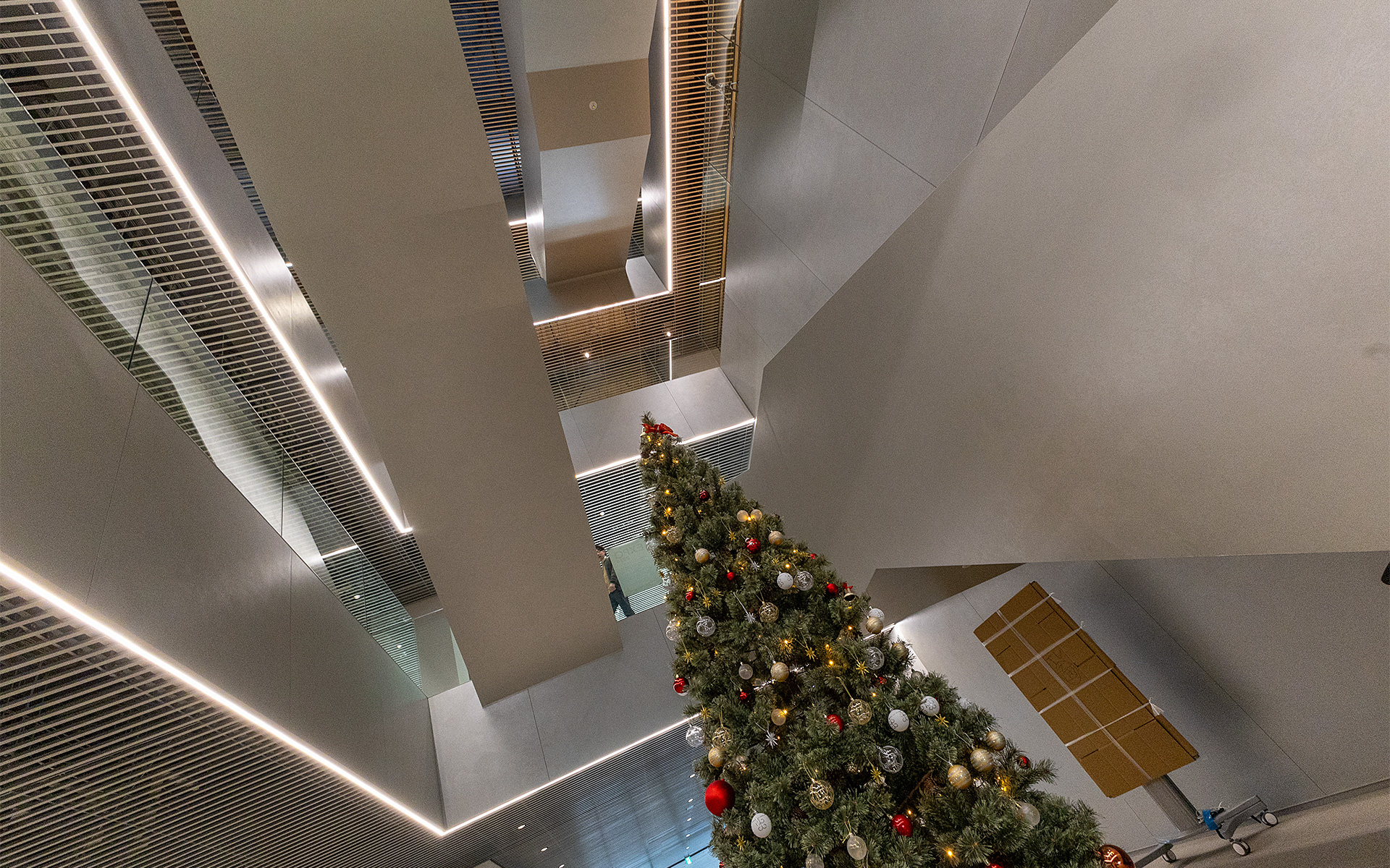 1階フロアから上階まで吹き抜け構造になっている。12月なので大きなクリスマスツリーが置いてあった