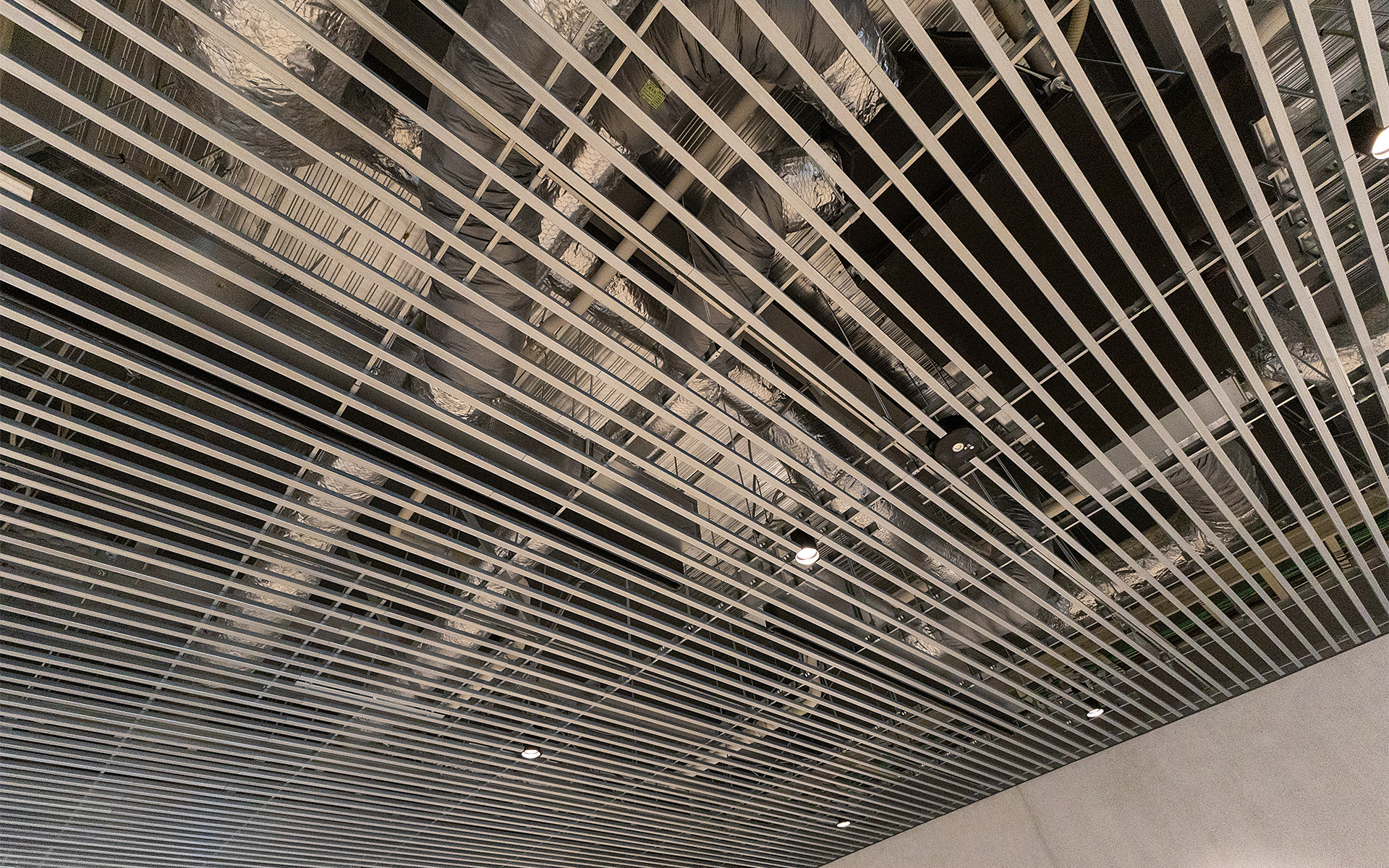 天井はすべてのフロアでこのような作り。どこか倉庫っぽいデザインも取り入れている