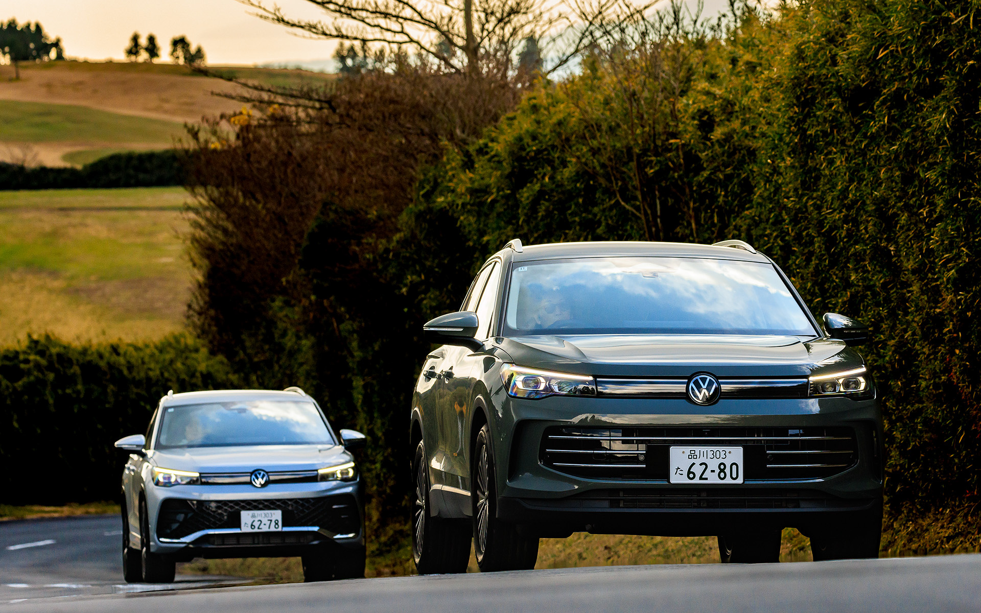 エレガンスの出来やいかに？