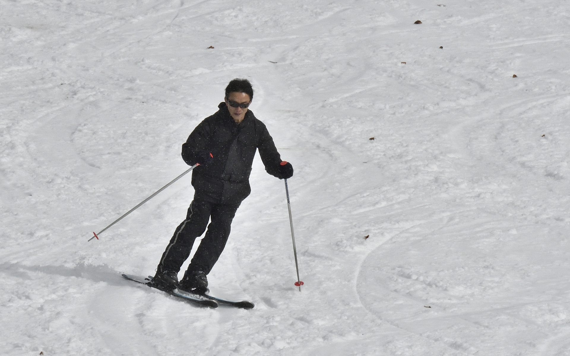 ドライブを楽しみ、スキーも楽しむ