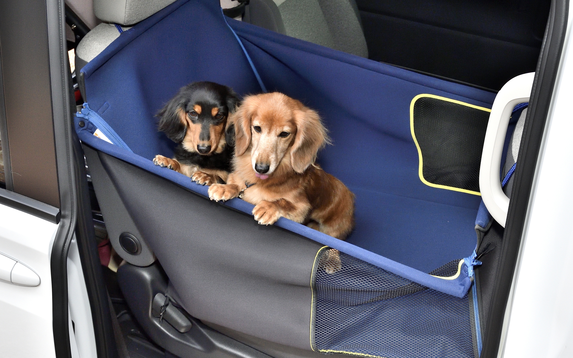 中型犬や小型犬が複数いるならペットシートサークル（2万5300円）が便利