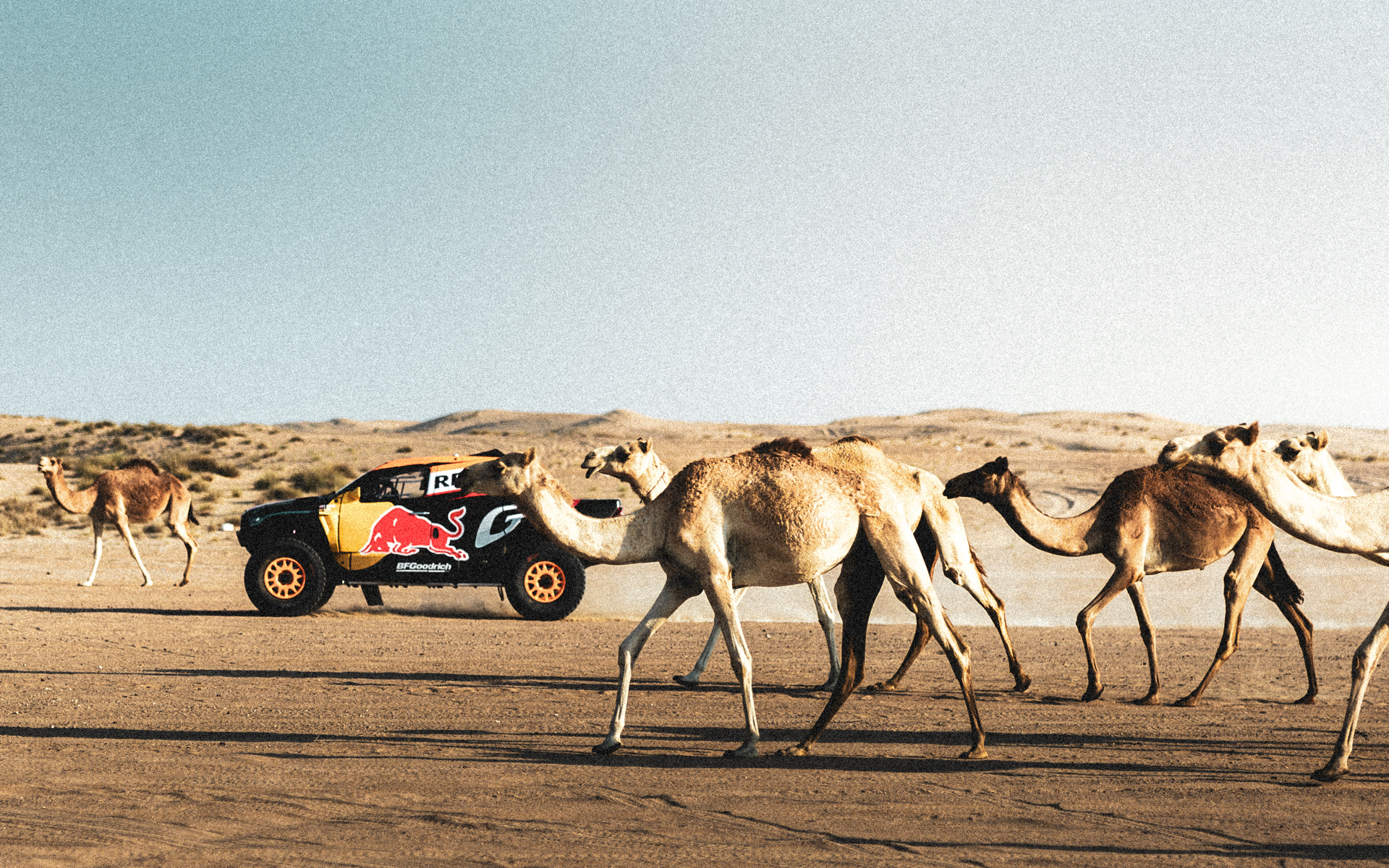 日野チームスガワラの「HINO600シリーズ」