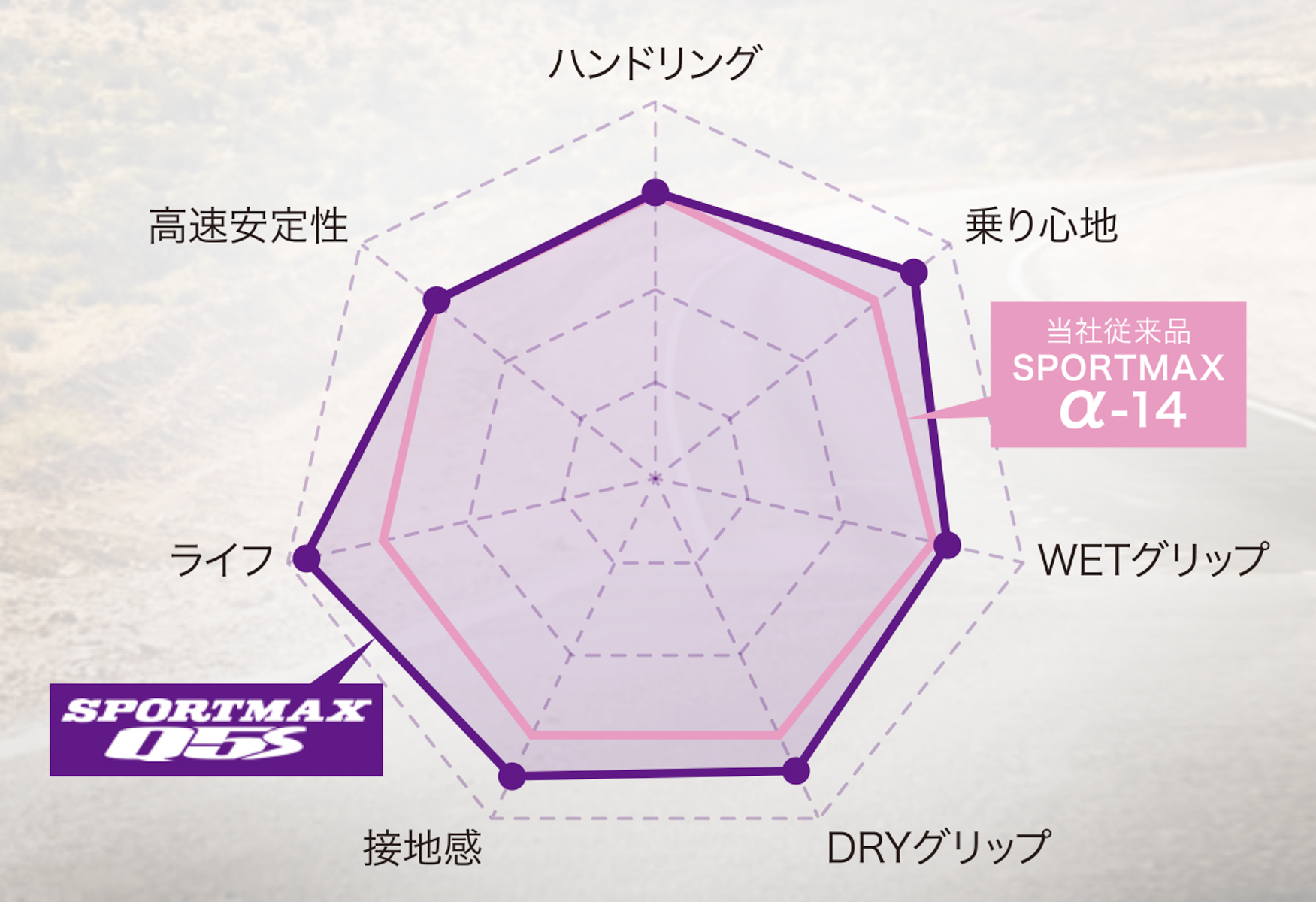 スポーツマックスQ5Sの総合性能グラフイメージ