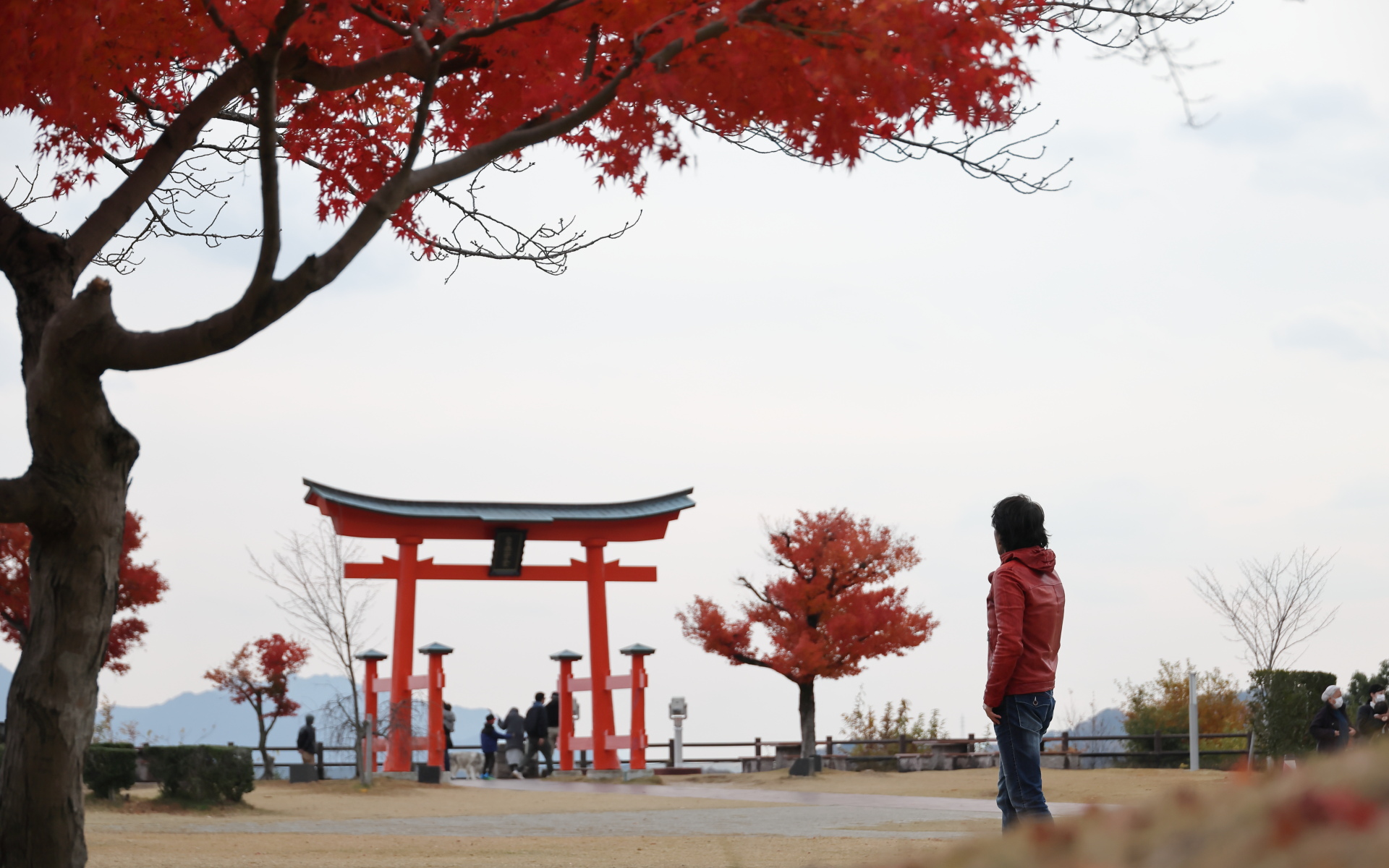 サービスエリアやパーキングエリアで適宜休憩を挟みながら西を目指す