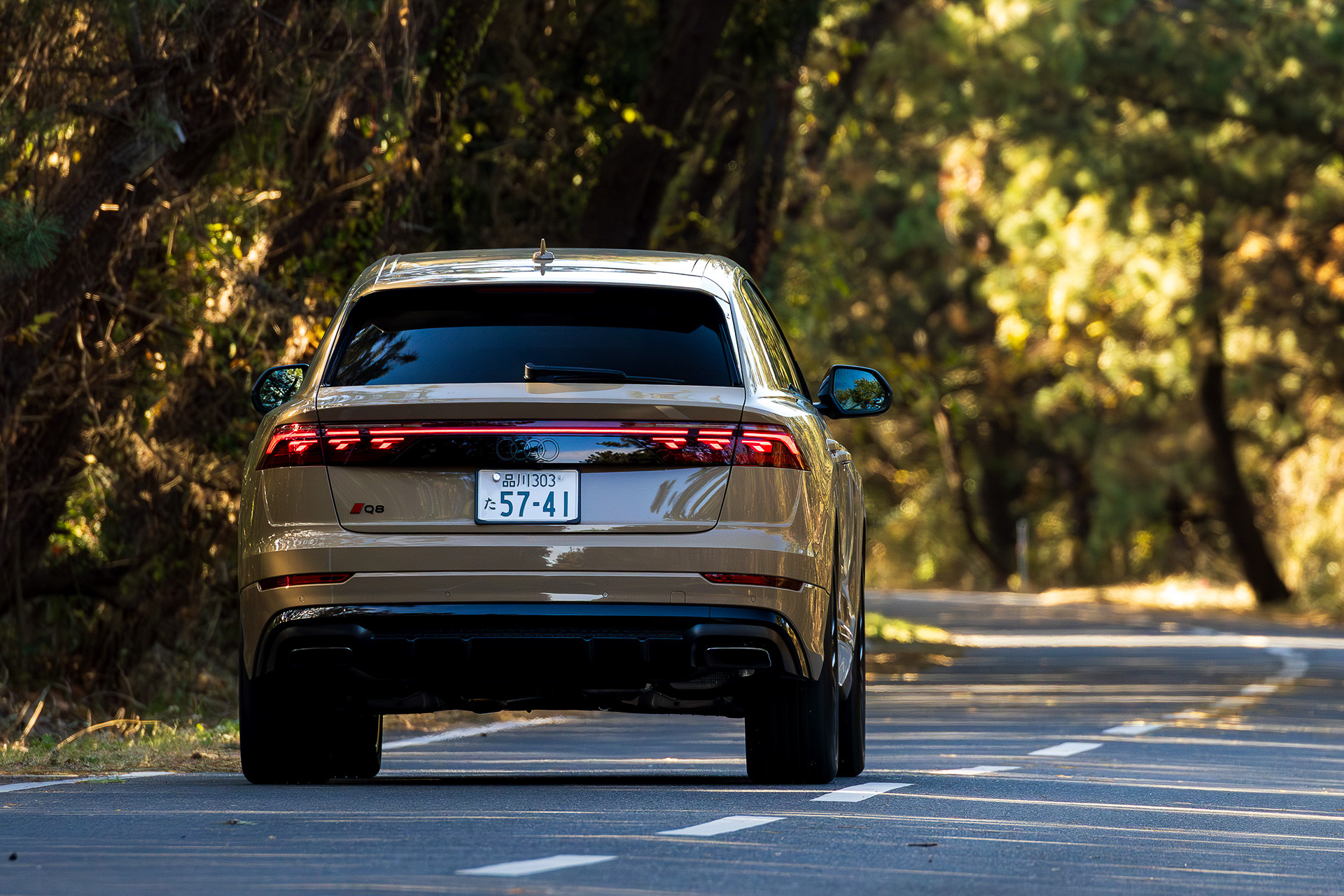 悪路や雪道でも試乗してみたいと感じた