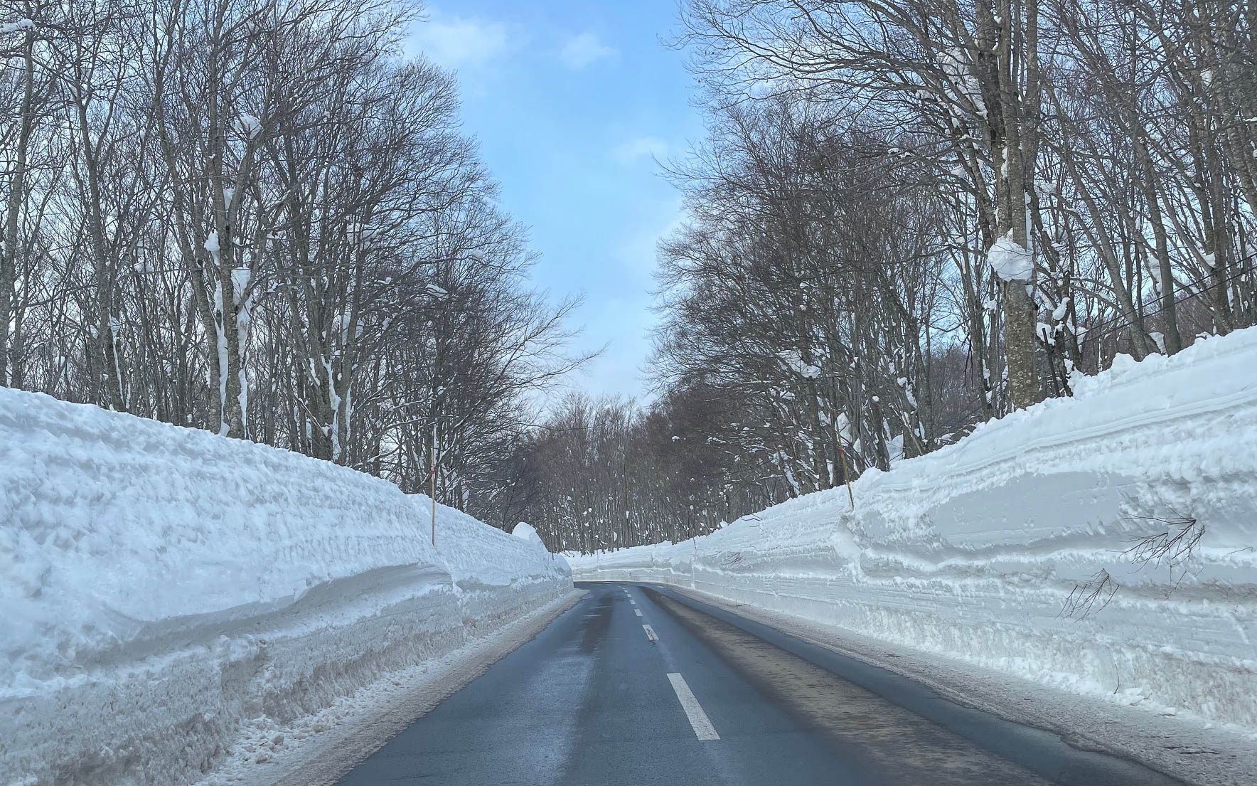 酸ヶ湯から一路青森へ。きれいに除雪され舗装に雪は全くない。日本の除雪技術は世界一じゃないかと思う