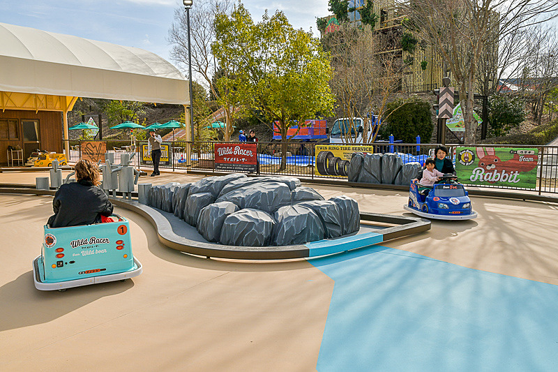 ワイルドレーサー