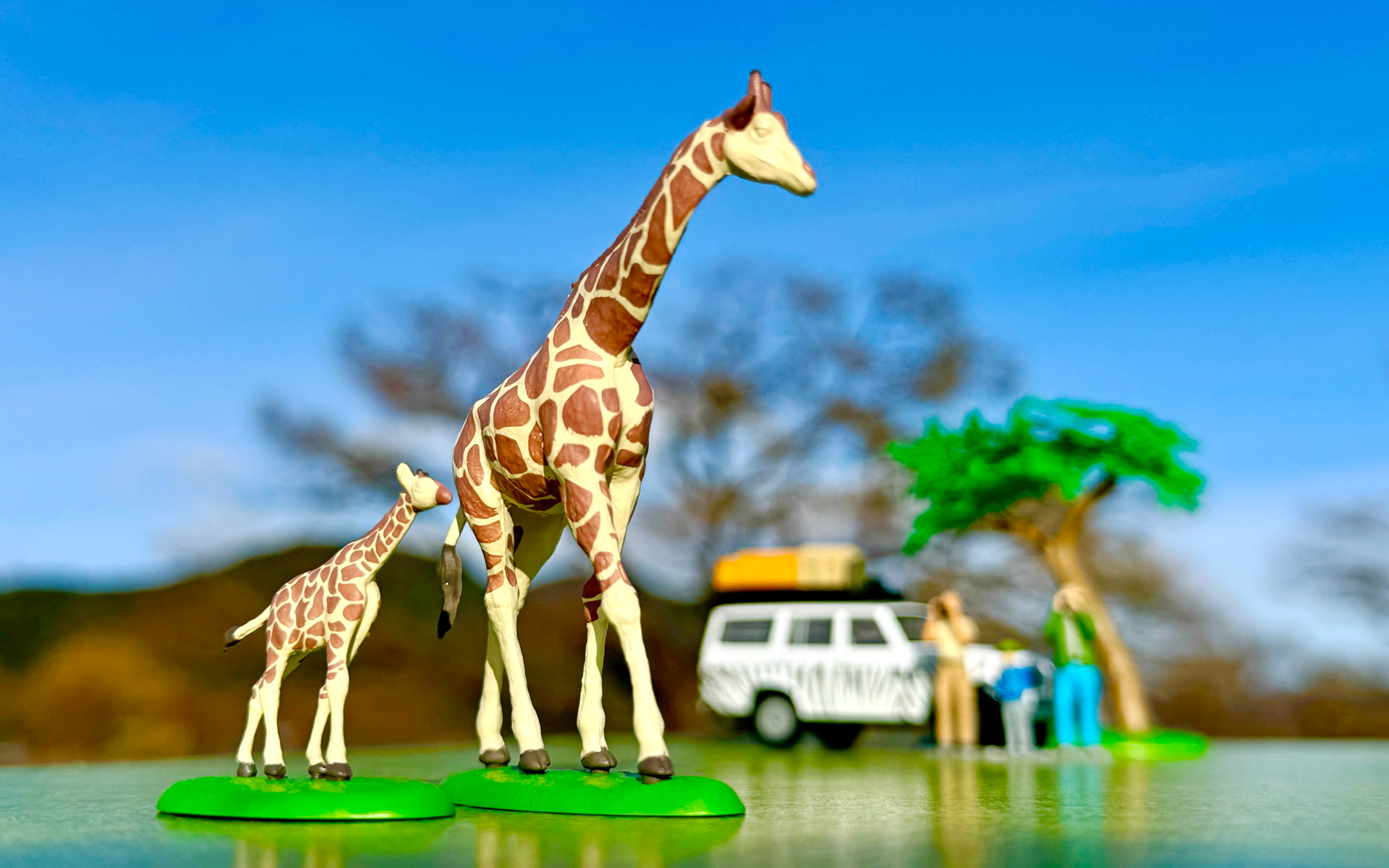 サファリで動物ウォッチングをしているような情景も再現可能