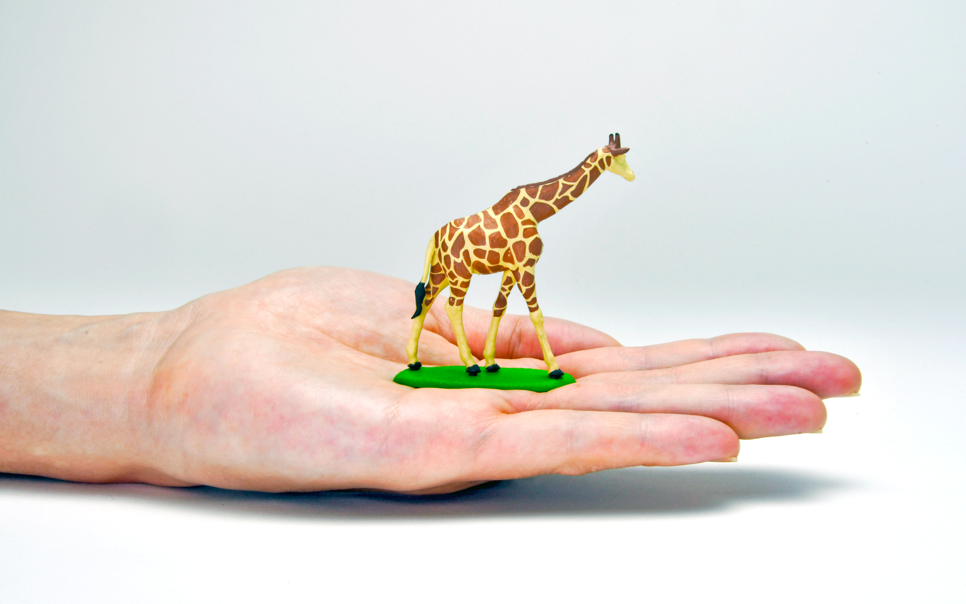 手の平に簡単に載る1/64サイズ