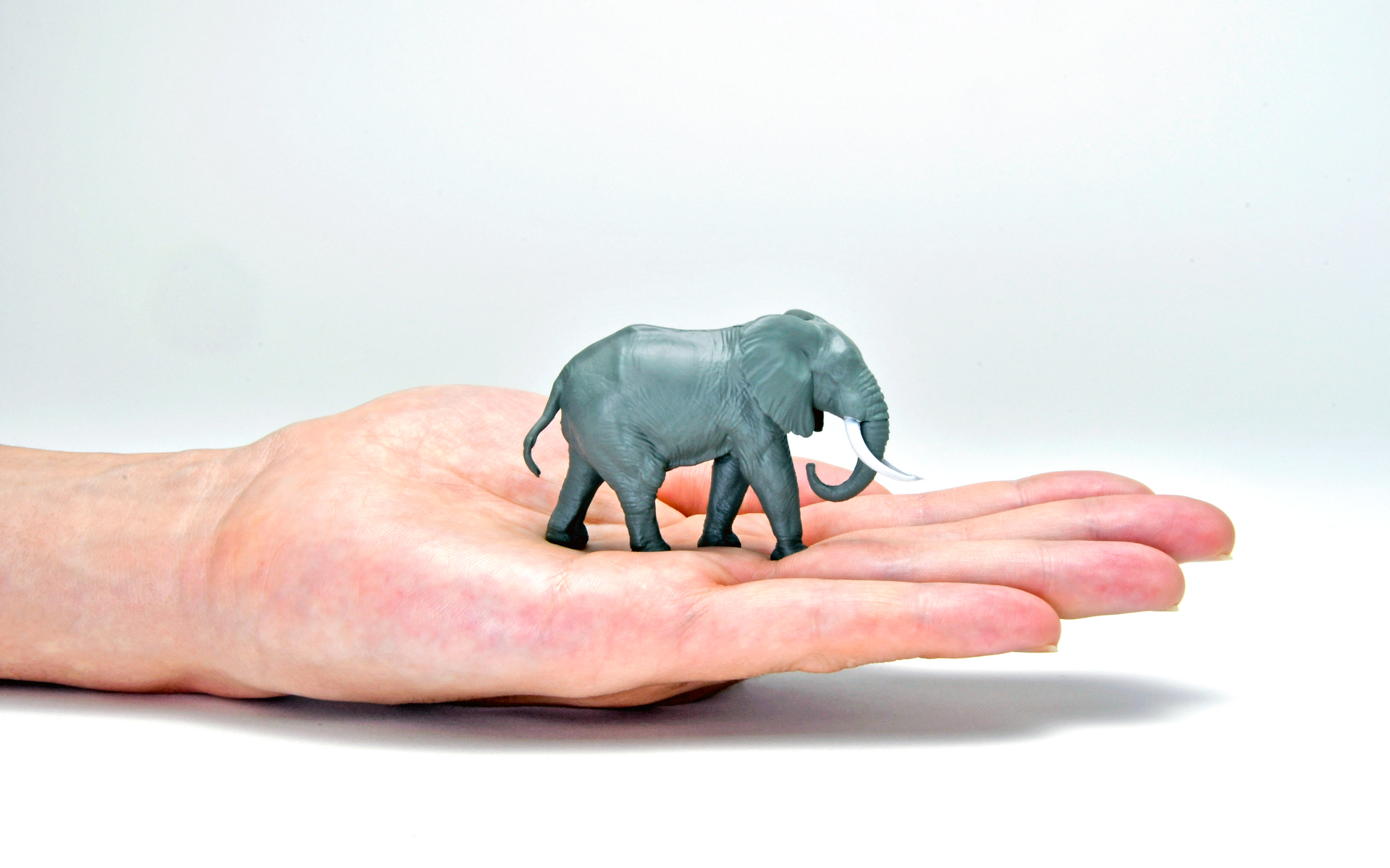 手の平に簡単に載る1/64サイズ