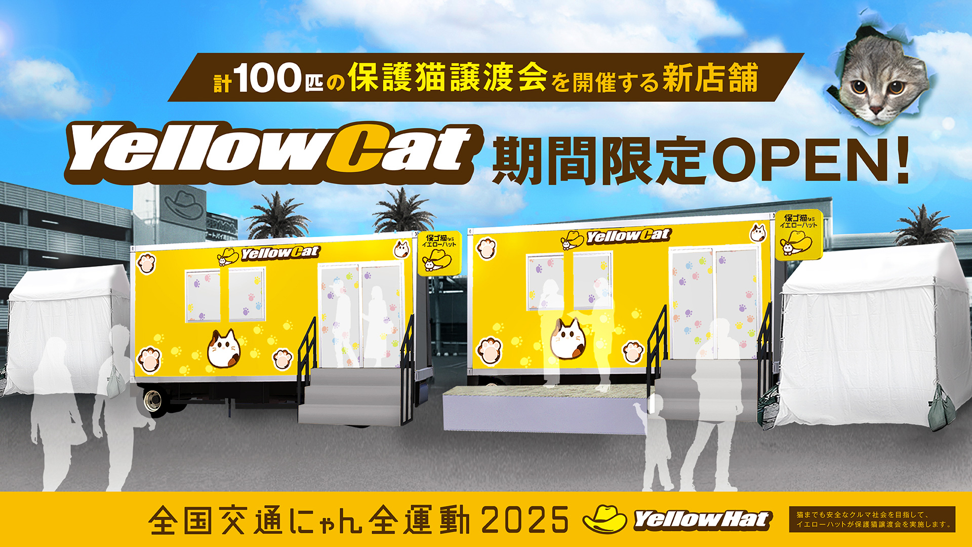 保護猫譲渡会「イエローキャット」をイエローハット新山下店（神奈川県横浜市中区新山下1-17-39）店舗駐車場で開催
