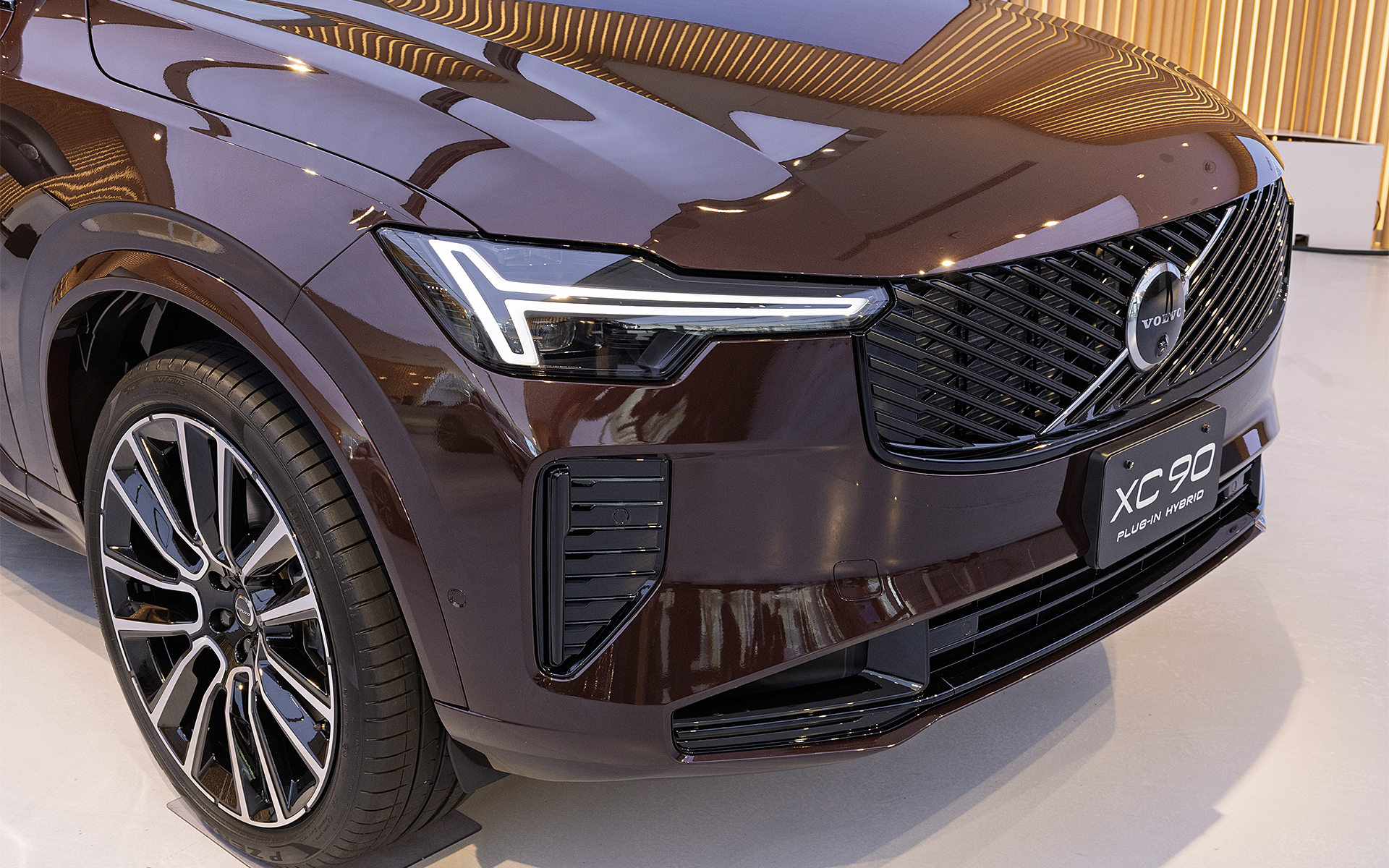 プラグインハイブリッドのグリルまわりはブラックアウト化