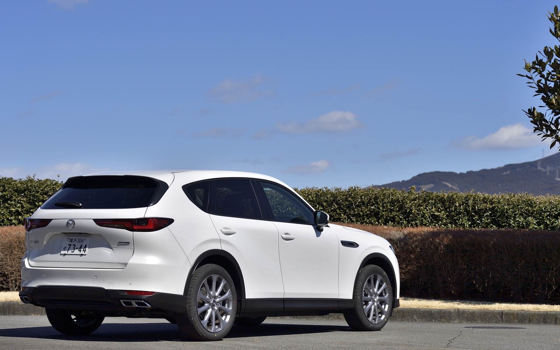 ボディカラーはロジウムホワイトプレミアムメタリック