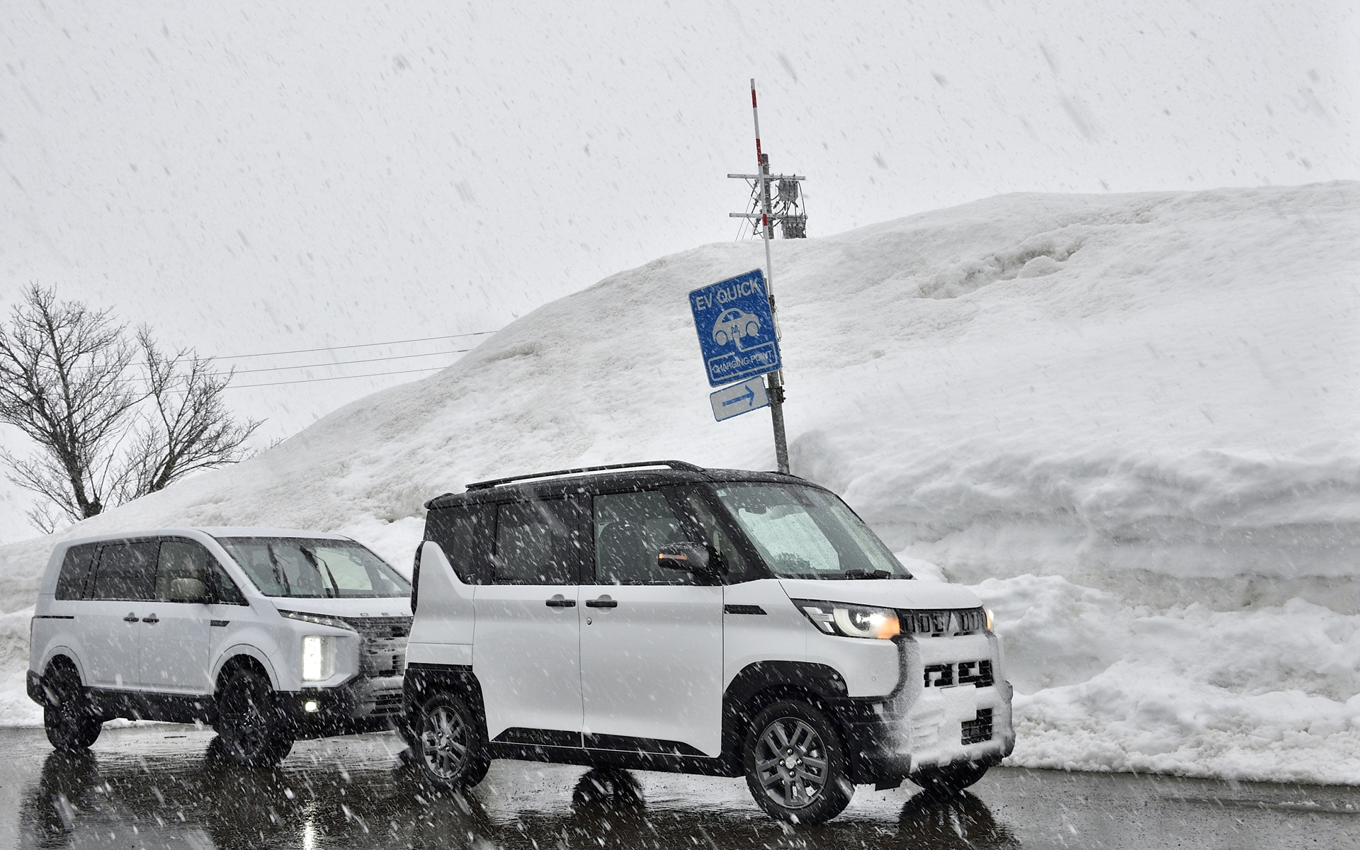 デリカの世界観が好みならD:5とミニの2台持ちという選択肢もアリだろう