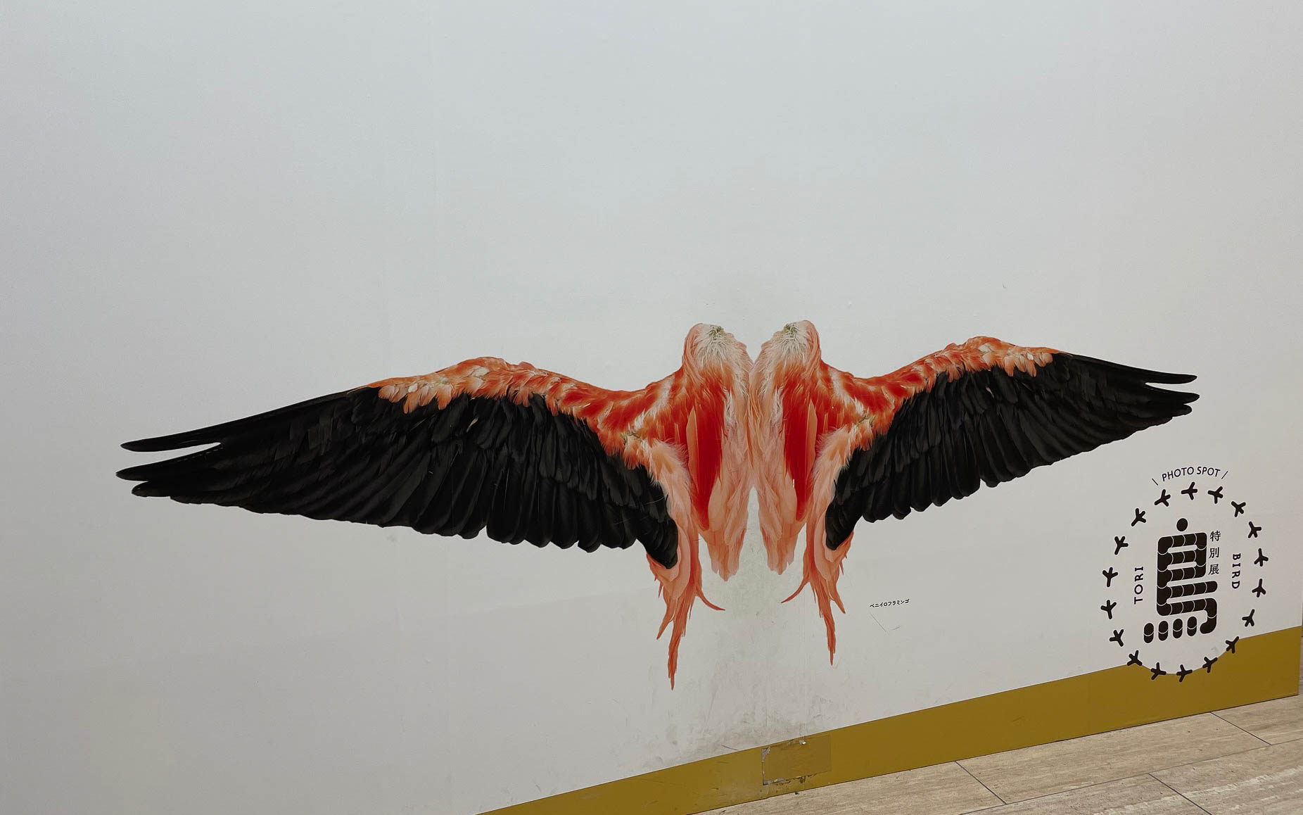 「鳥」の出口。「一生分の鳥が見られる」のキャッチフレーズ通りお腹いっぱいでした