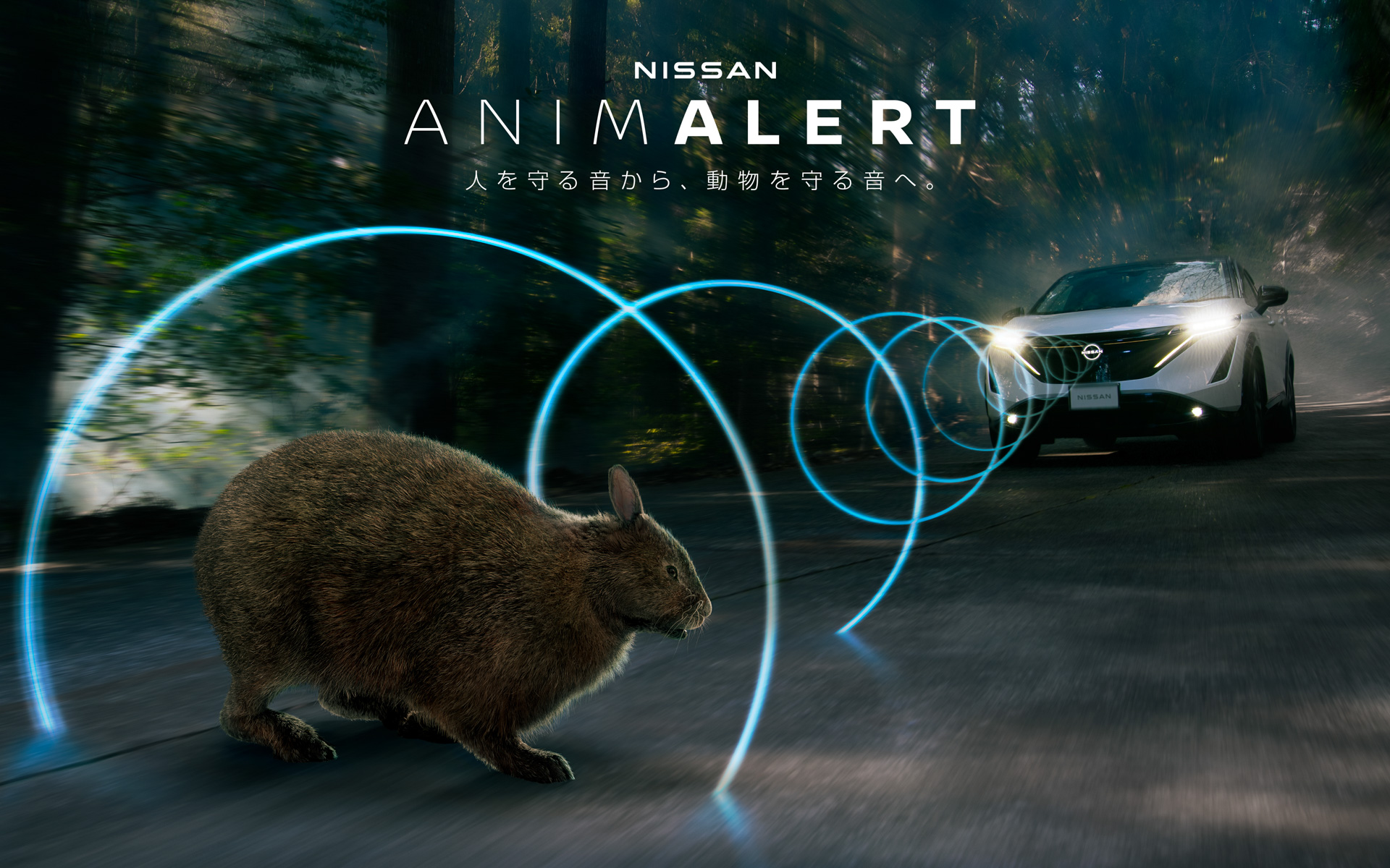 第1弾として「アマミノクロウサギ」の保護を目指す「日産アニマラートプロジェクト」