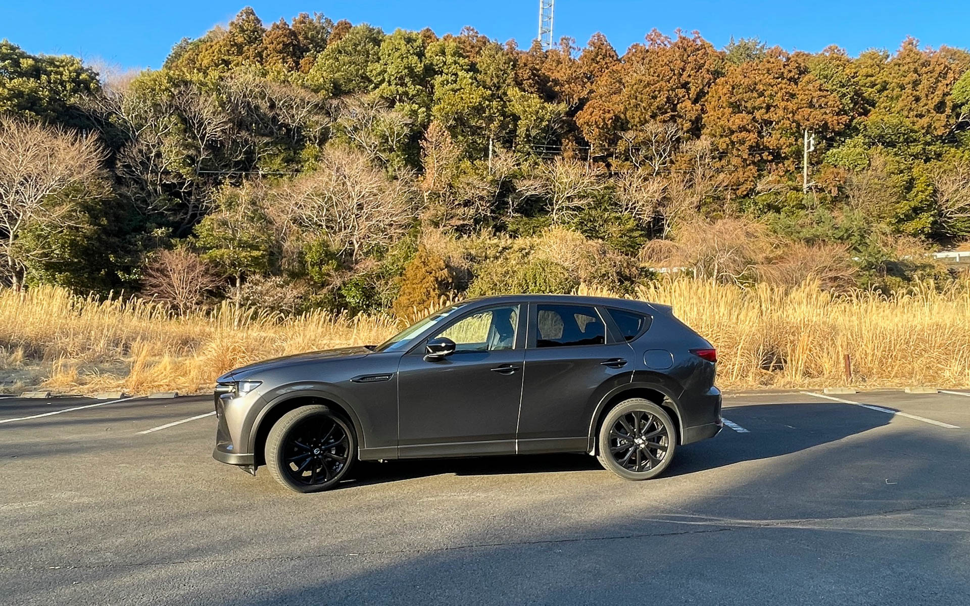 ラージプラットフォームのロングノーズが強調されたアングルになってしまった