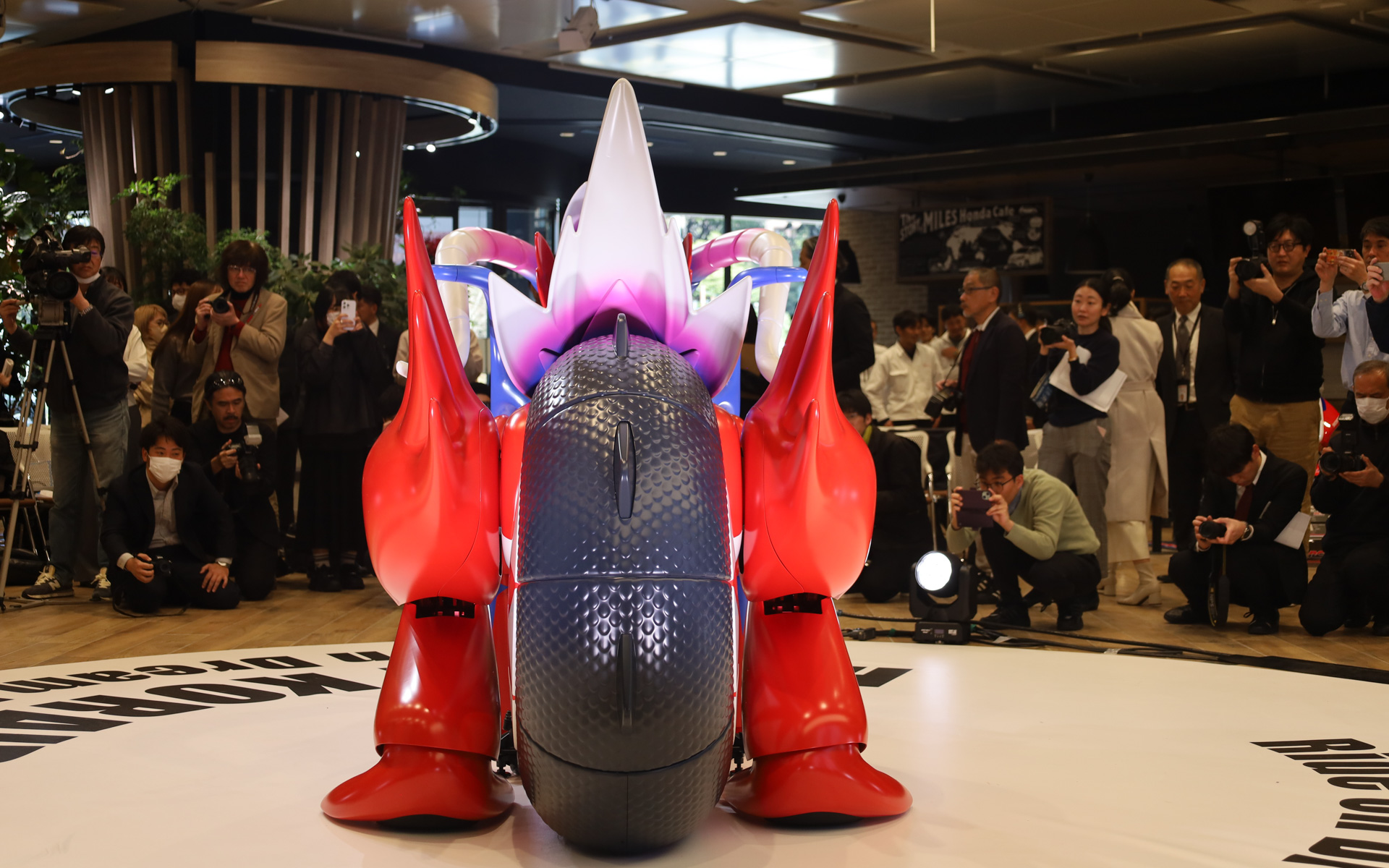 ホンダコライドン